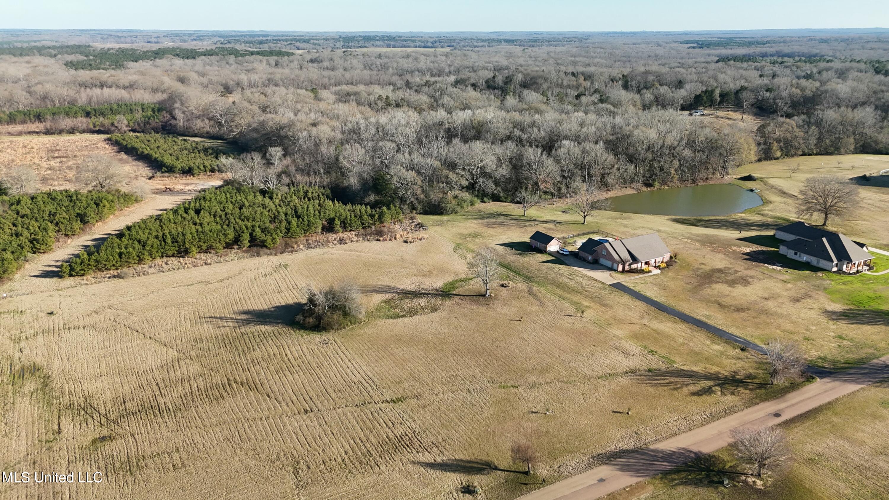 128 Meadow Oaks Lane, Clinton, Mississippi image 4