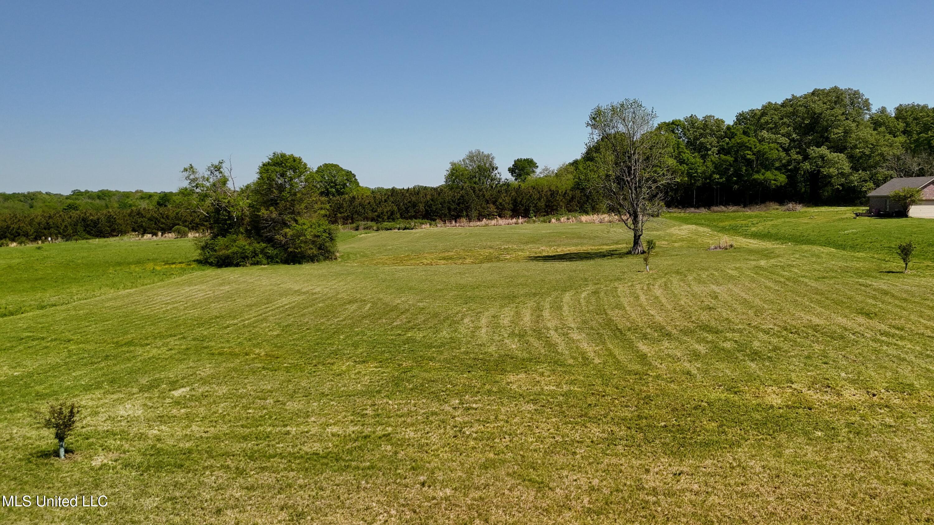 128 Meadow Oaks Lane, Clinton, Mississippi image 16