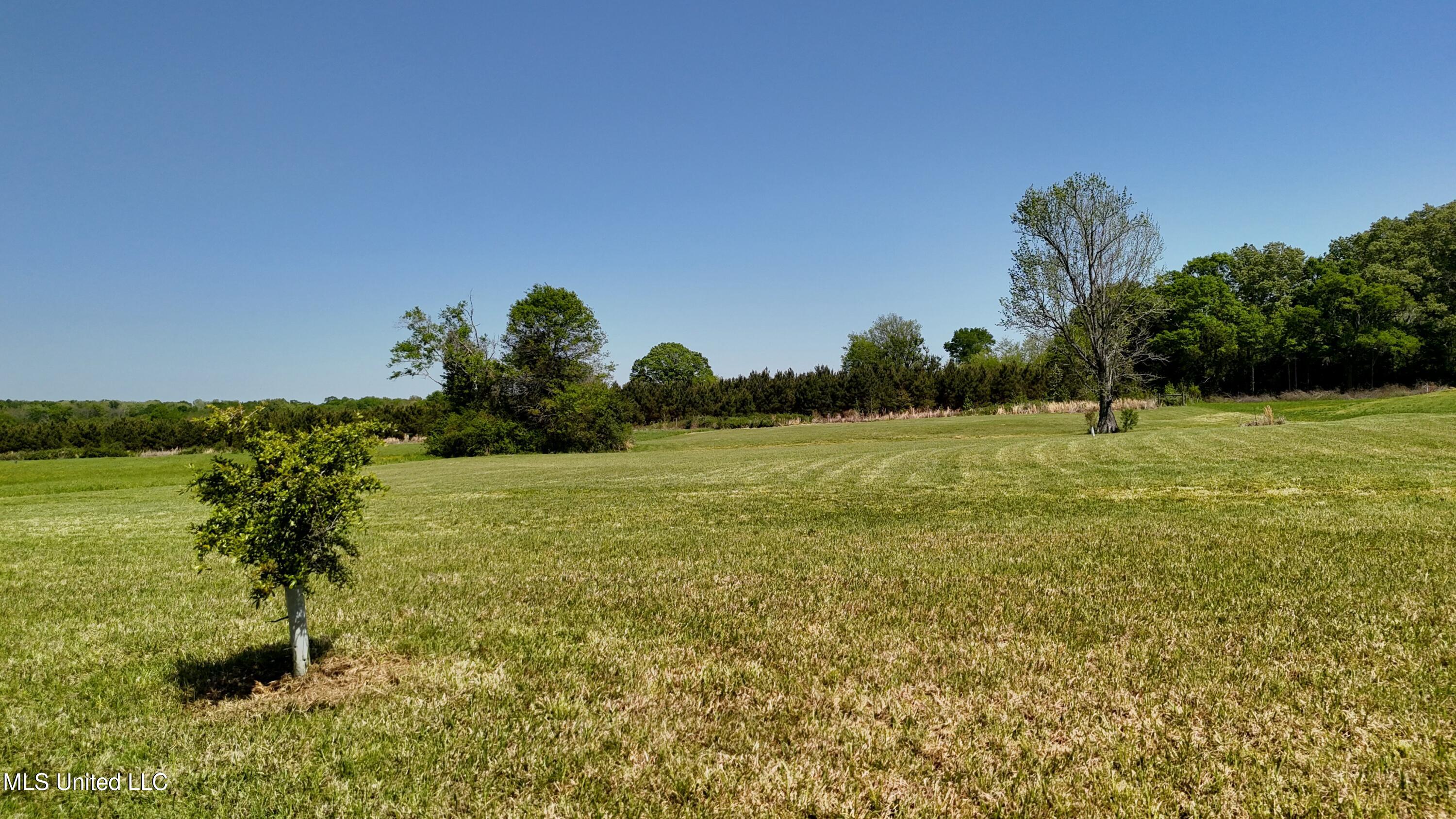 128 Meadow Oaks Lane, Clinton, Mississippi image 14