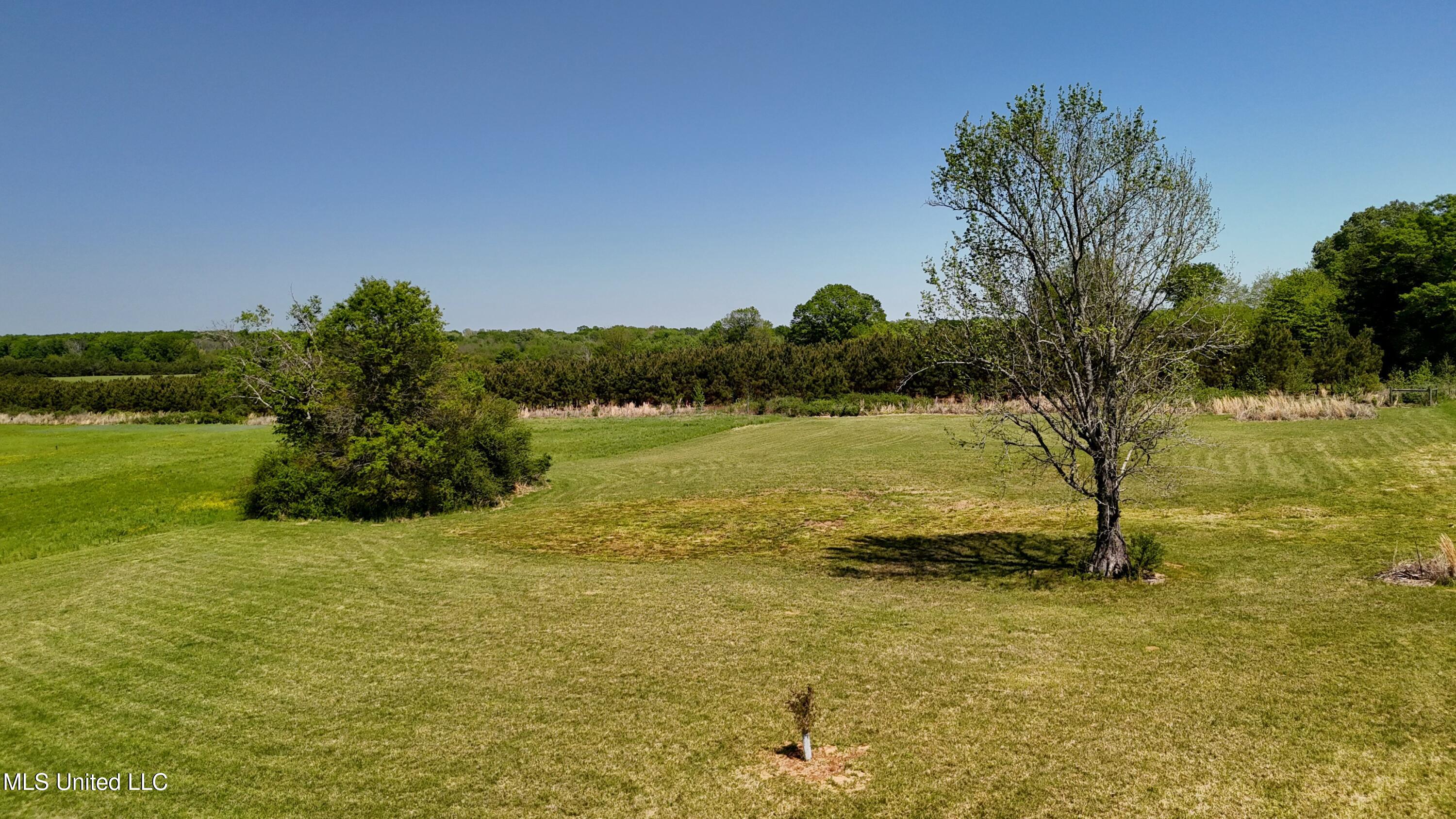 128 Meadow Oaks Lane, Clinton, Mississippi image 10