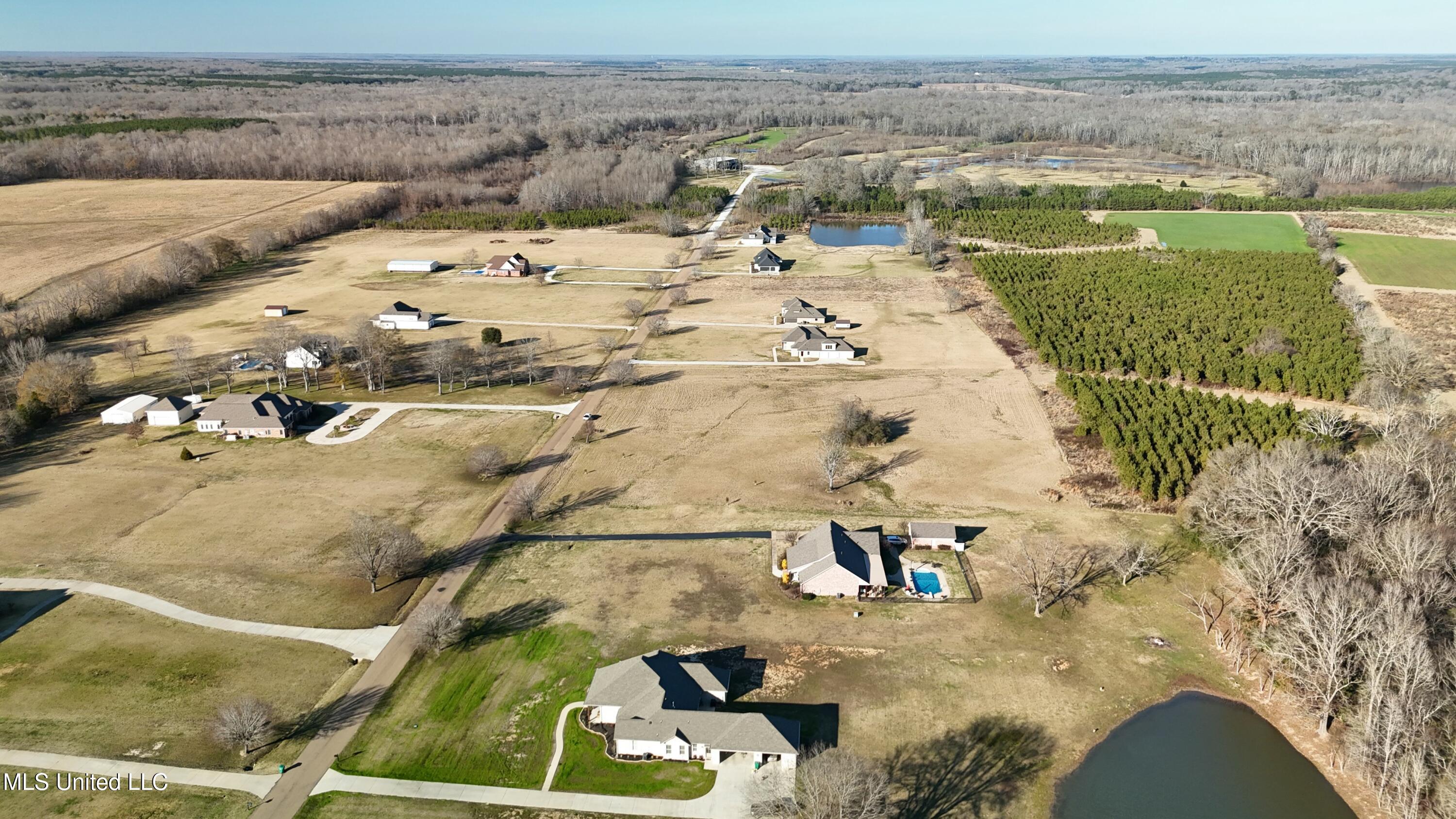 128 Meadow Oaks Lane, Clinton, Mississippi image 9