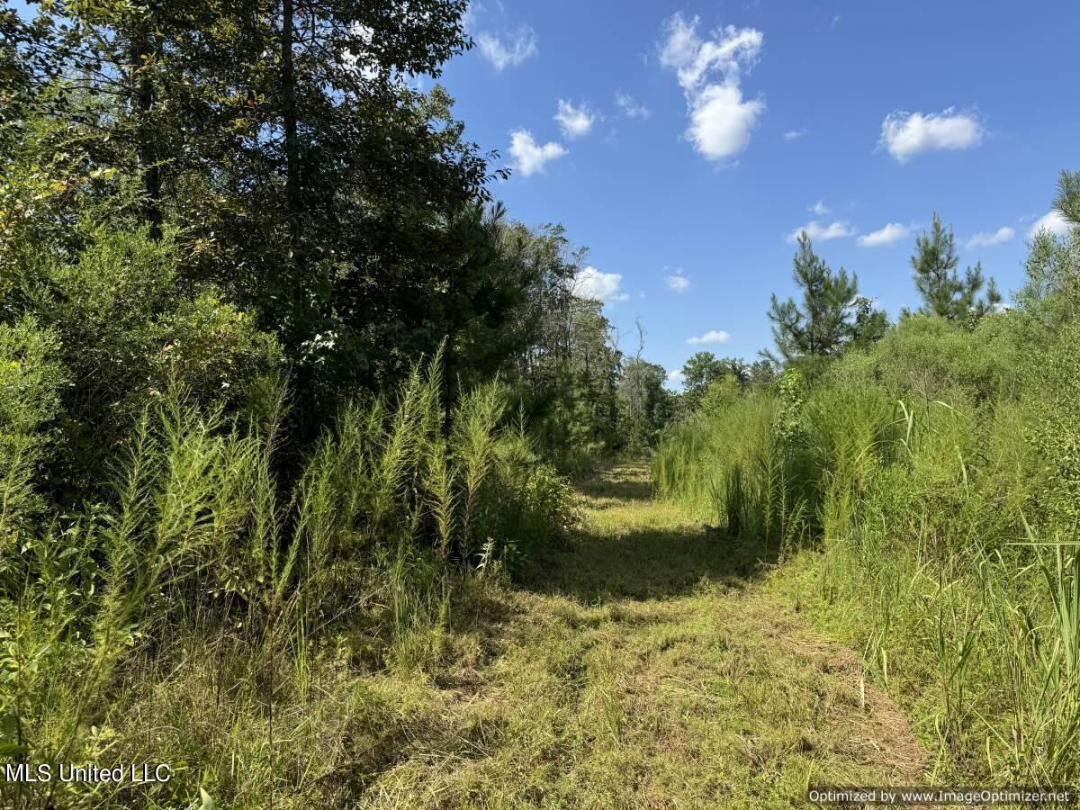 816b Denton Trail, Brookhaven, Mississippi image 9