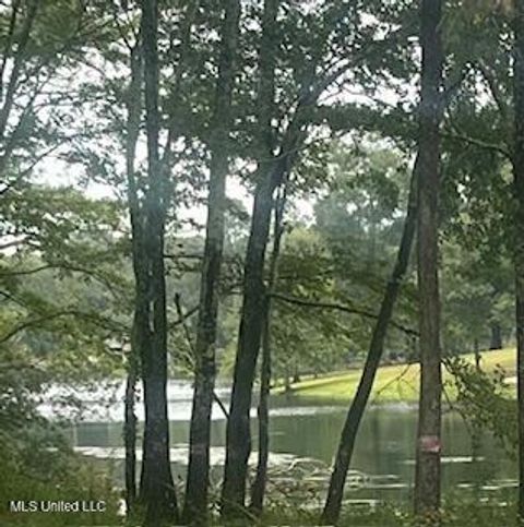 Vacant Land For Sale - Rault Drive<br/> Lumberton, MS 39455