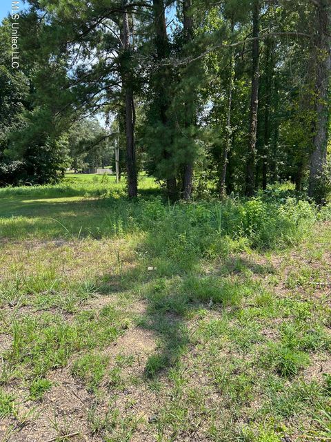 Vacant Land For Sale - Faulkner Cove<br/> Terry, MS 39170