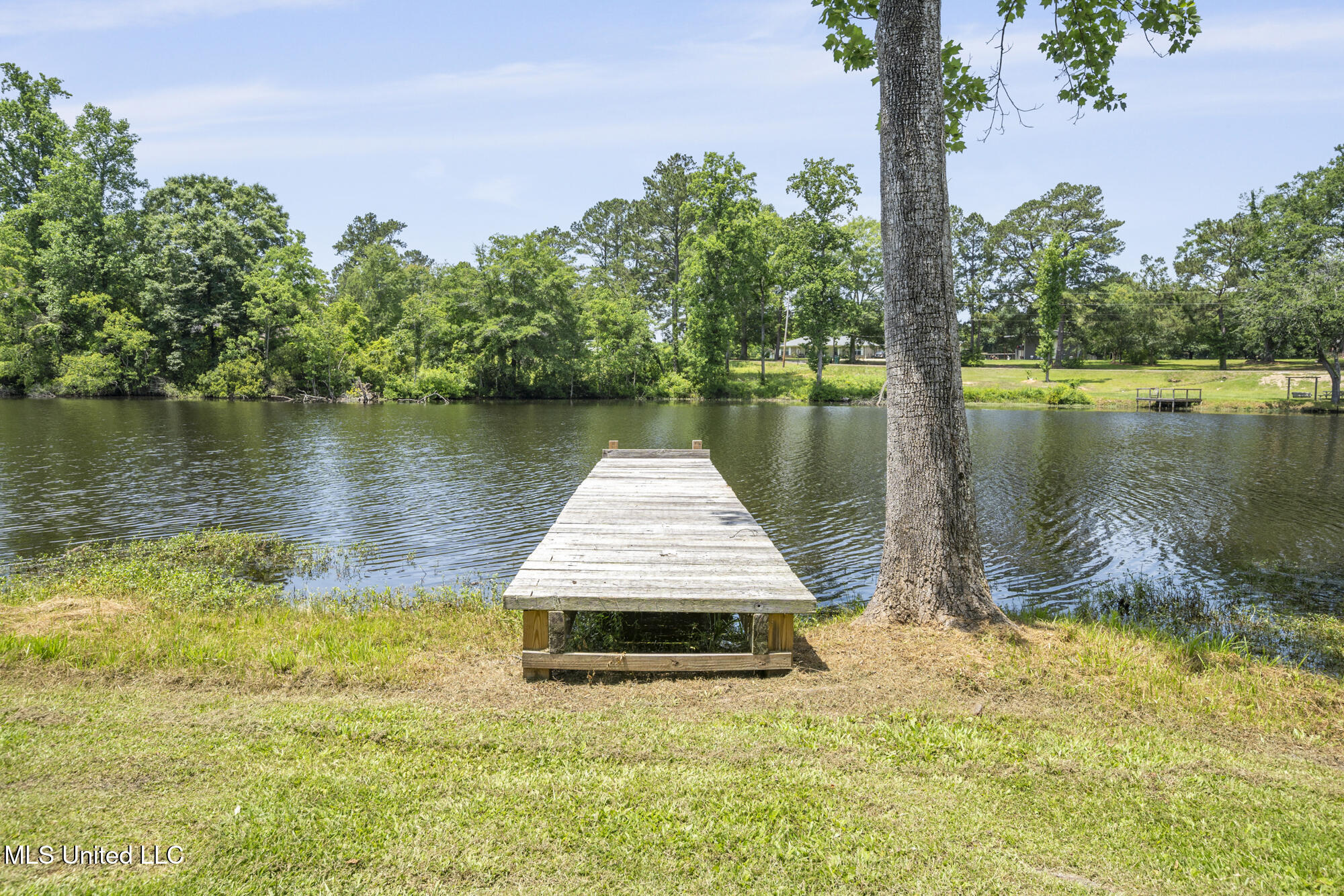 88 Lakeview Drive, Petal, Mississippi image 48