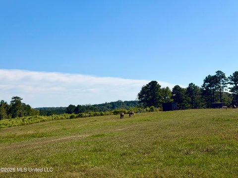 Vacant Land For Sale - 2416 Lake Lincoln Drive<br/> Wesson, MS 39191