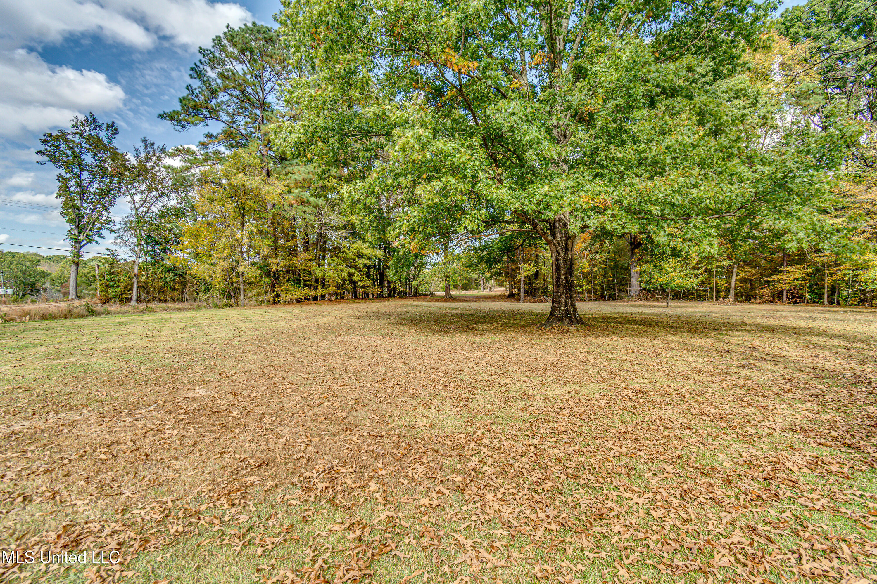 4428 Tinsley Road, Yazoo City, Mississippi image 8