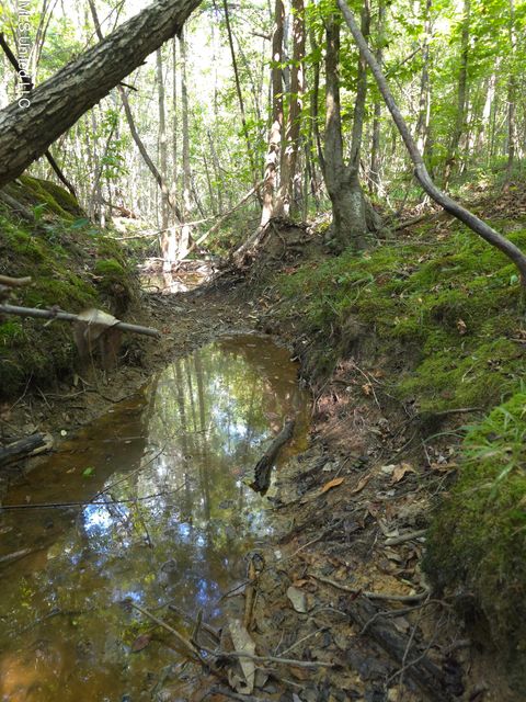 Vacant Land For Sale - Cub Brown Road<br/> Lawrence County, Sontag, MS 39665