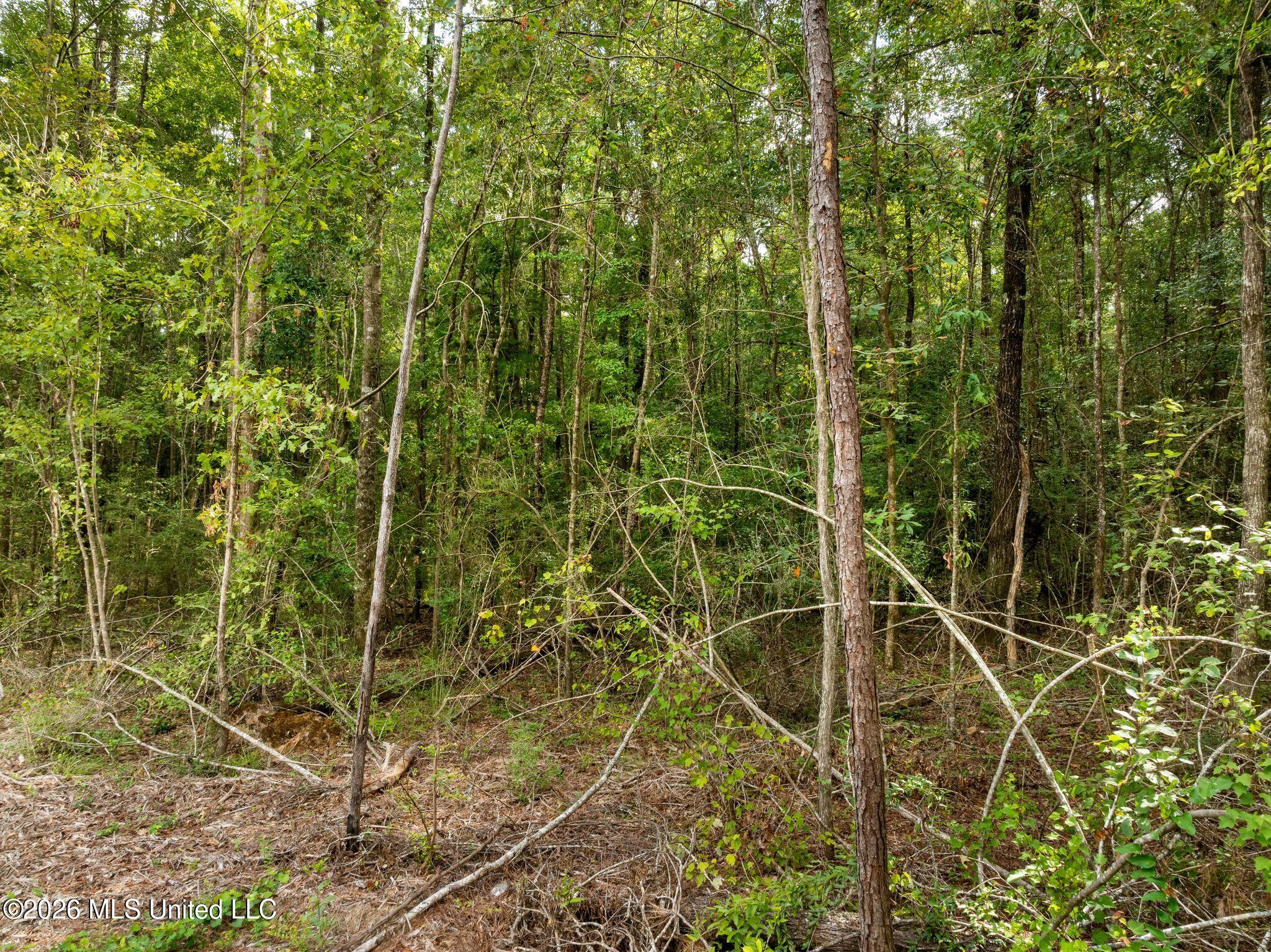 15 Acres Porter Hudson Road