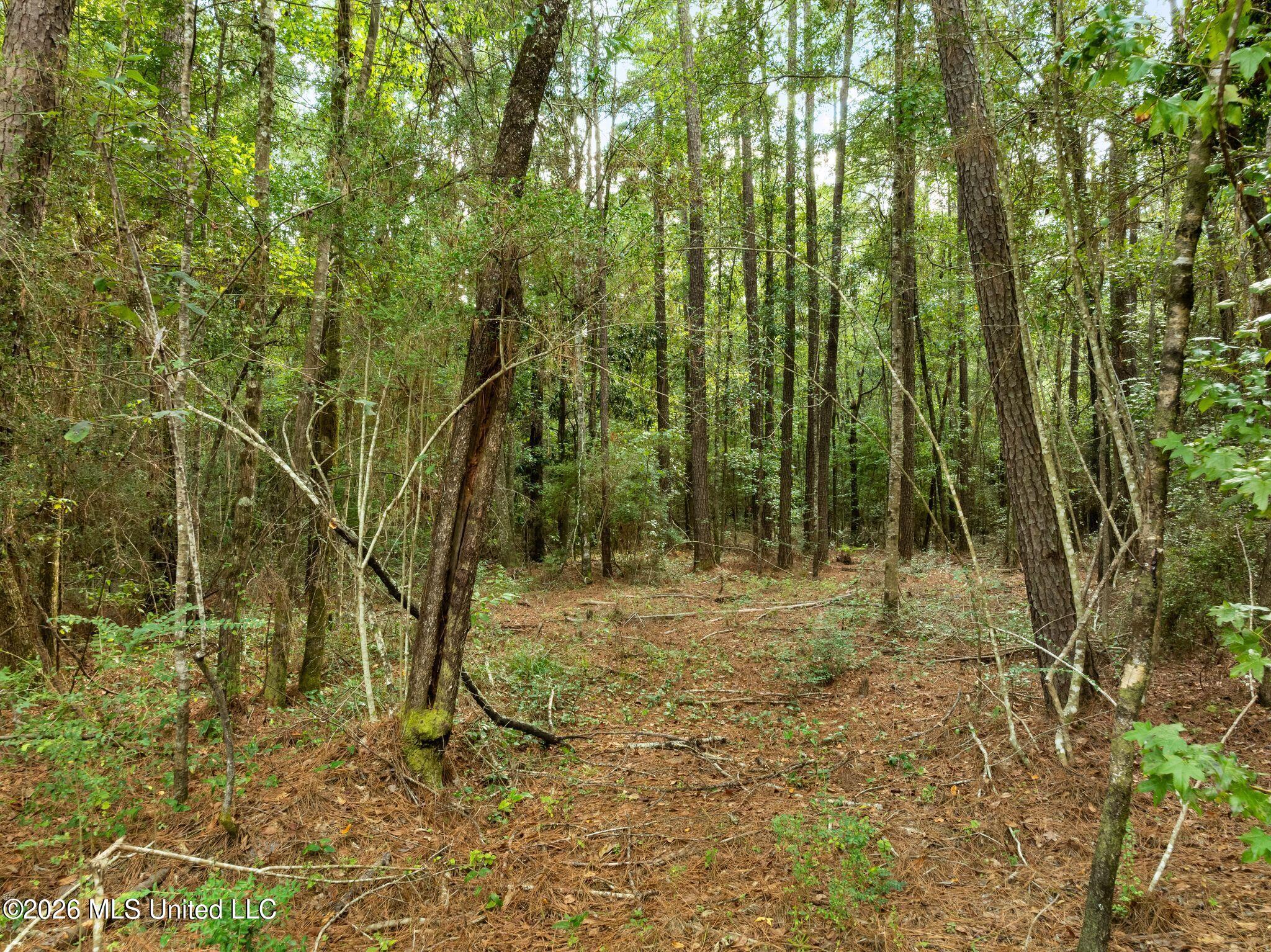 15 Acres Porter Hudson Road