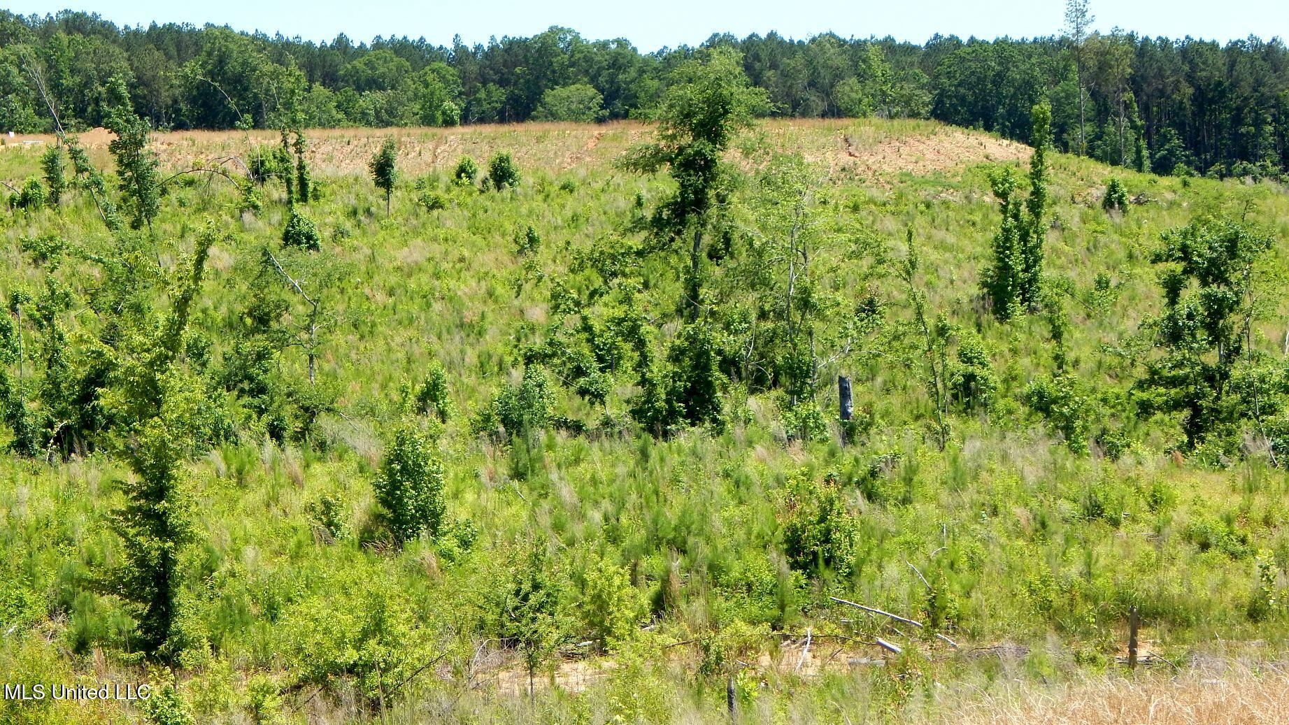 209 Hugh White State Park Road, Grenada, Mississippi image 7