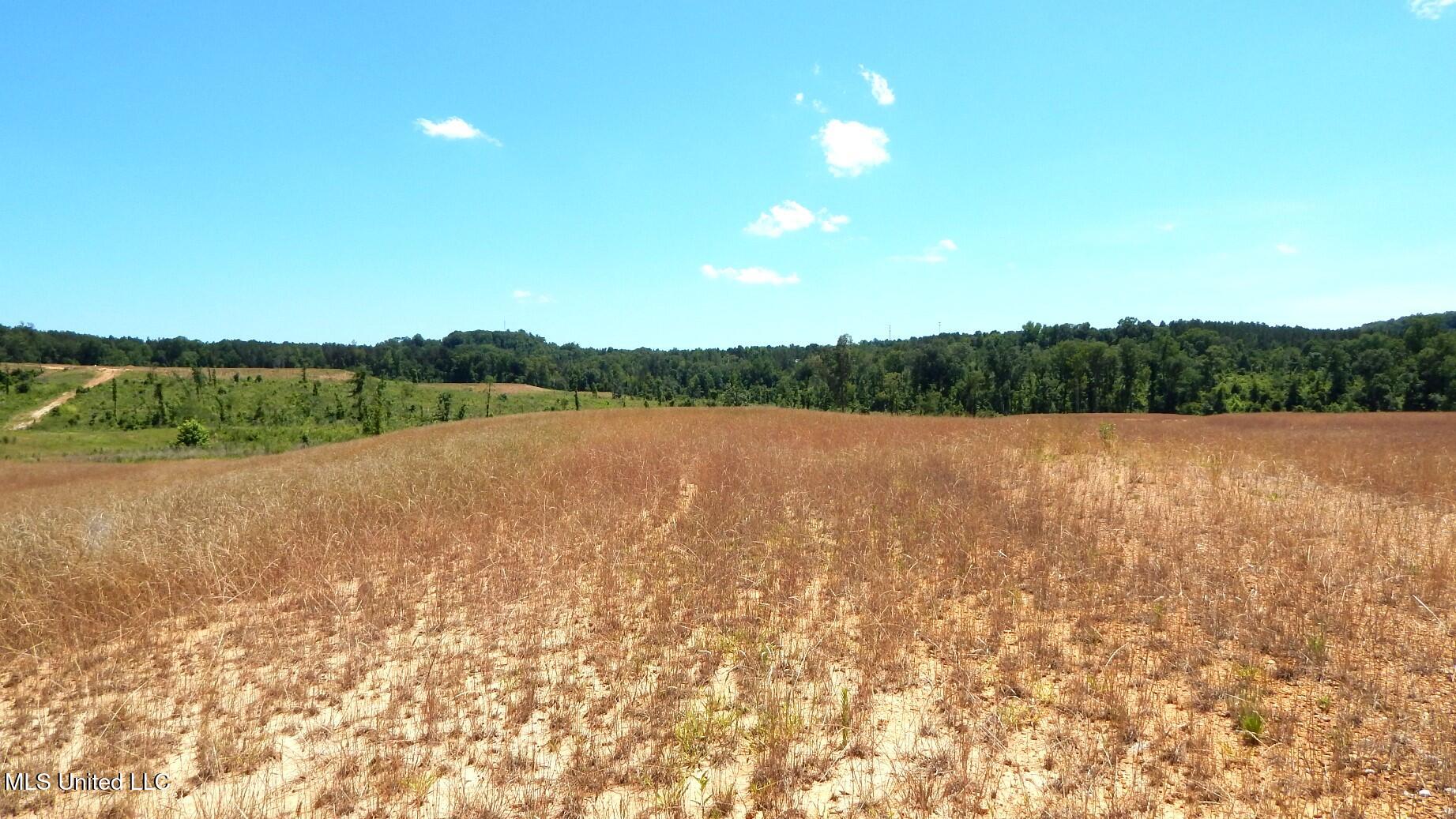 209 Hugh White State Park Road, Grenada, Mississippi image 2