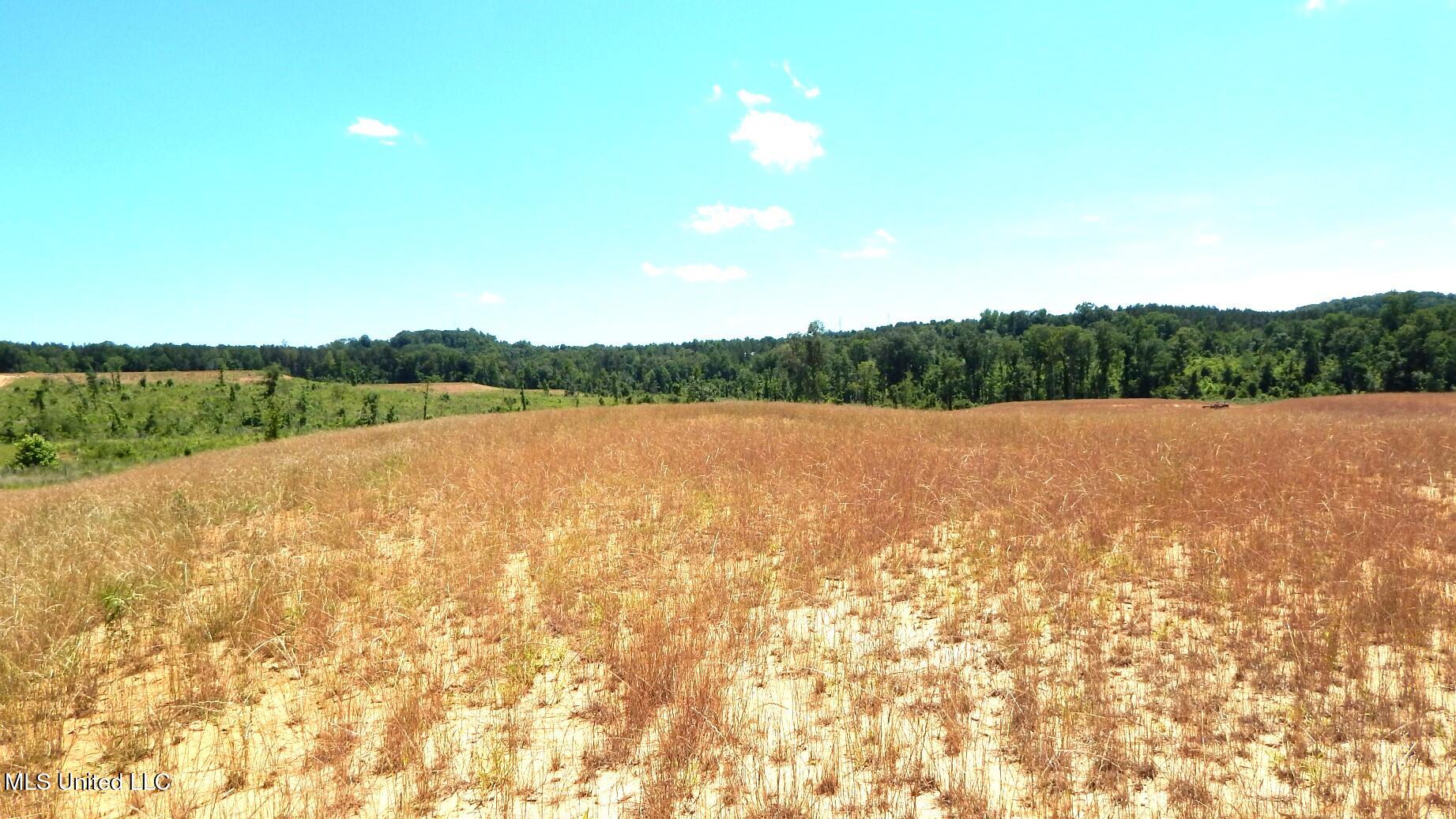 209 Hugh White State Park Road, Grenada, Mississippi image 4