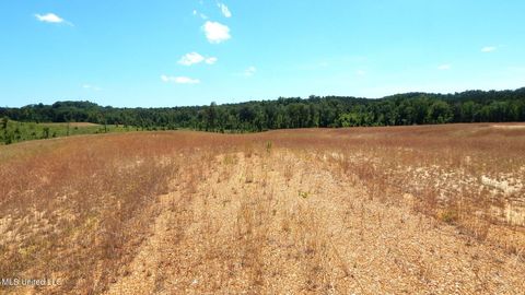 Vacant Land For Sale - 209 Hugh White State Park Road<br/> Grenada, MS 38901