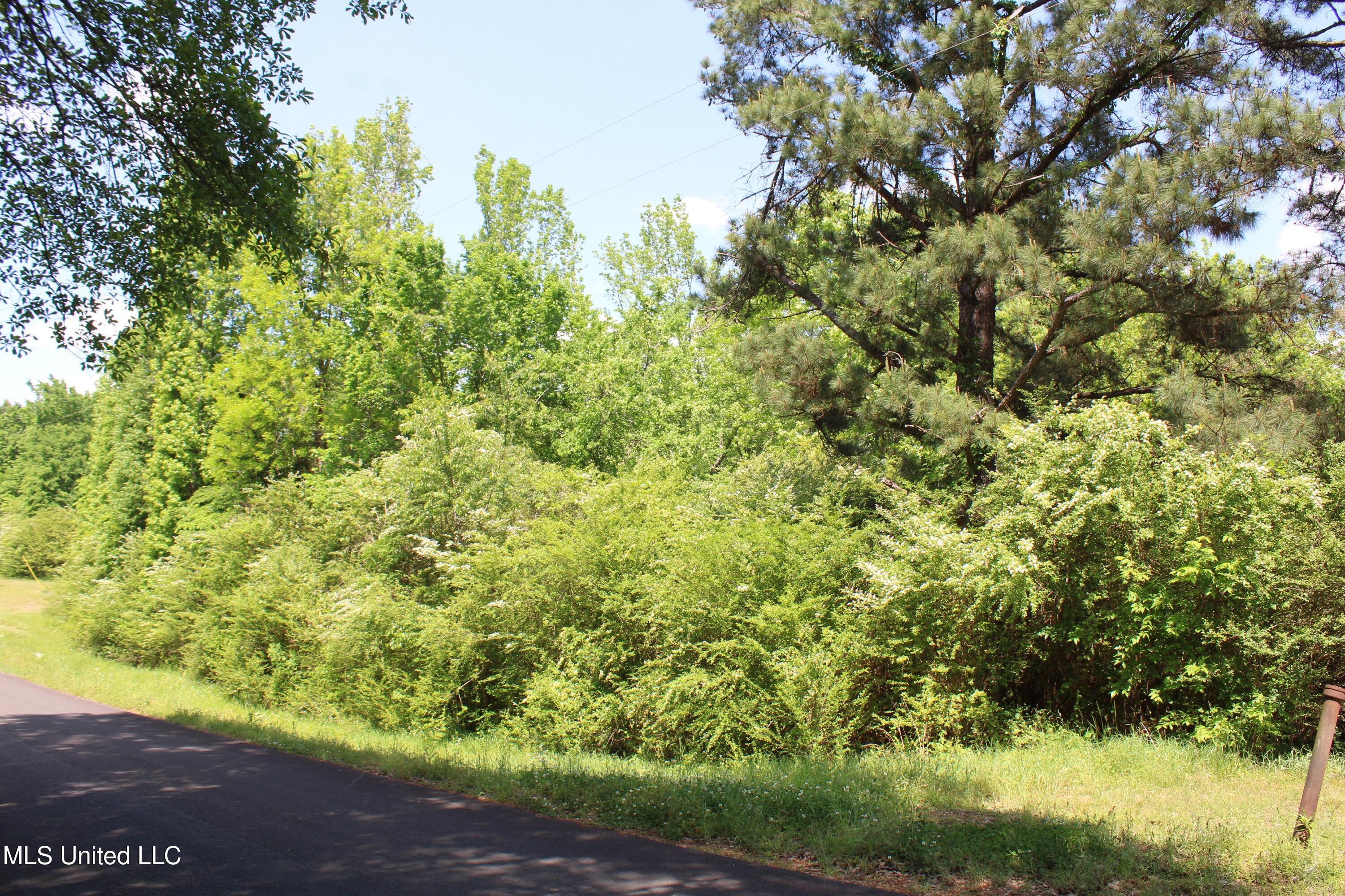 7900 E Craft Road, Olive Branch, Mississippi image 5
