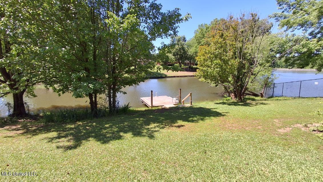 2141 Shannon Cove, Horn Lake, Mississippi image 36