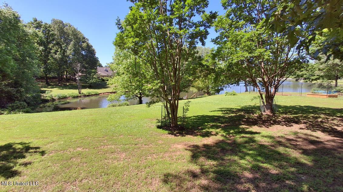 2141 Shannon Cove, Horn Lake, Mississippi image 35