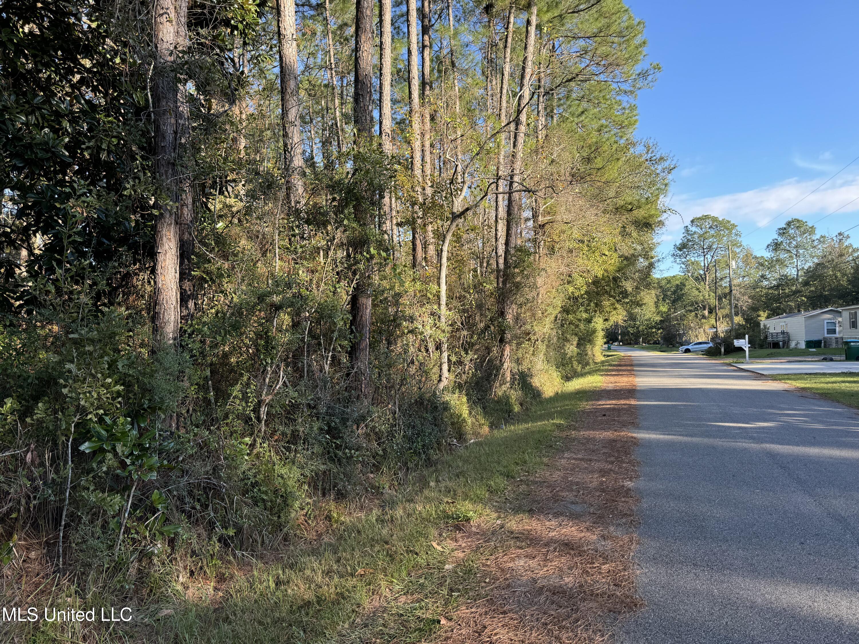 Petunia Road, Gautier, Mississippi image 11