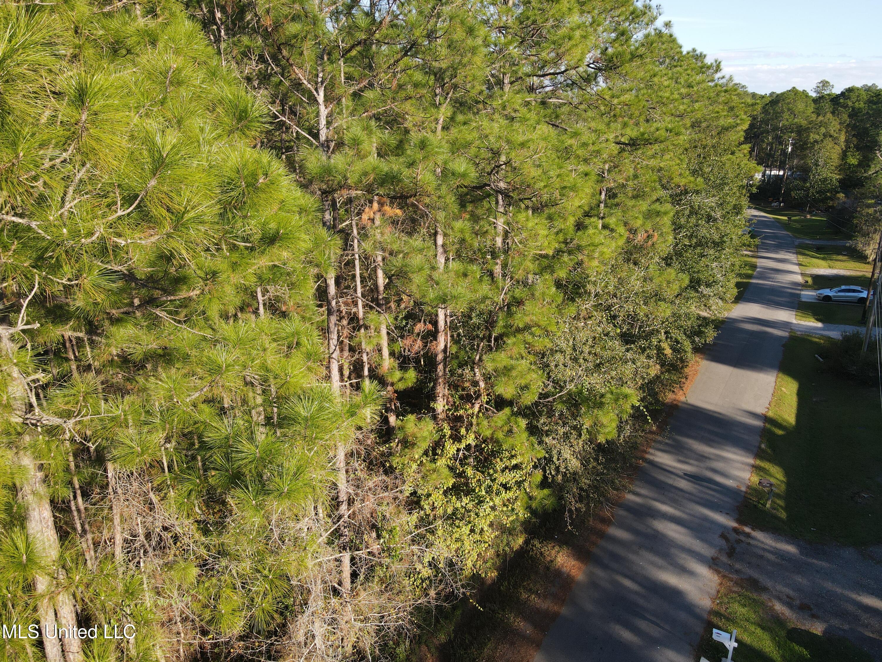 Petunia Road, Gautier, Mississippi image 6