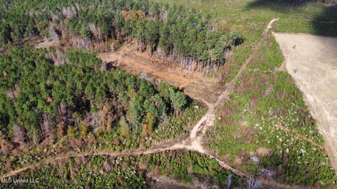 Vacant Land For Sale - 1 Truitt Rd<br/> Pickens, MS 39146