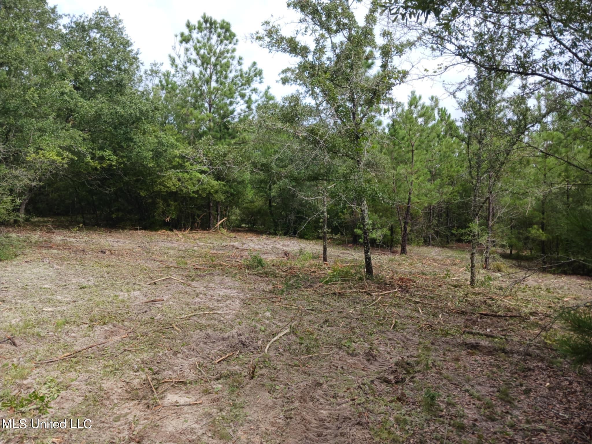 6.8acres Wilford Ladner Road, Lumberton, Mississippi image 2