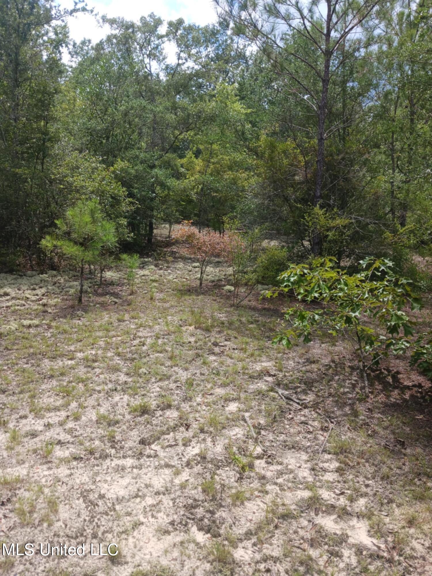 6.8acres Wilford Ladner Road, Lumberton, Mississippi image 4