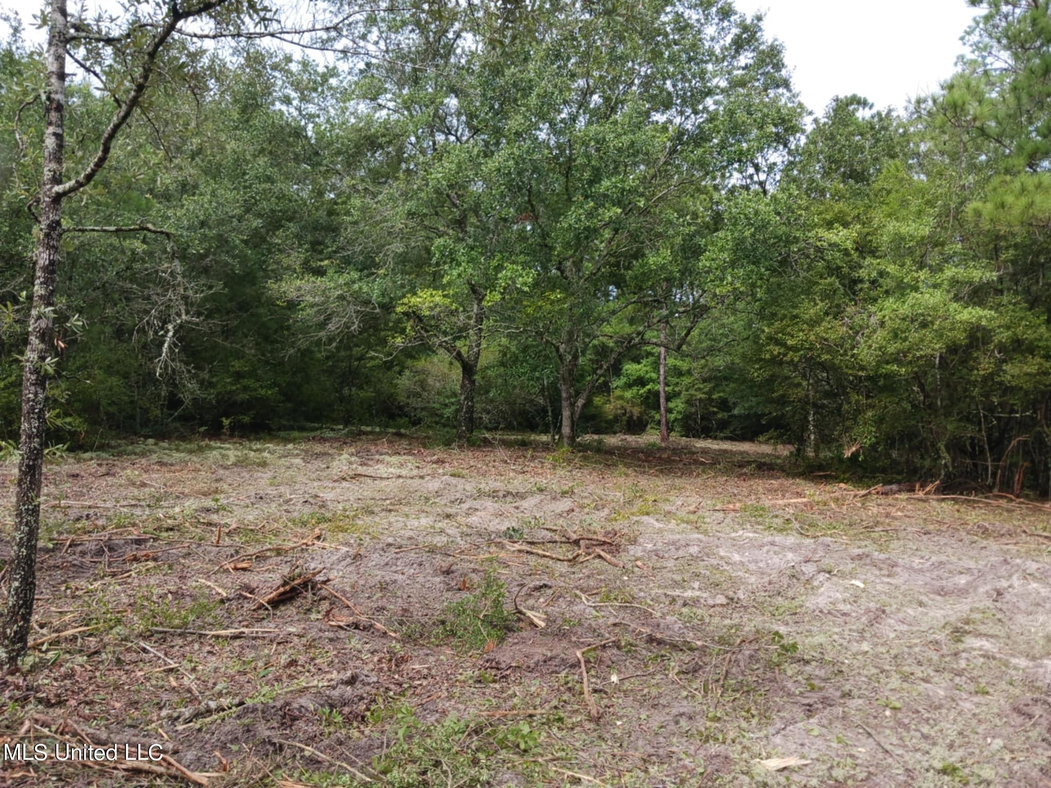 6.8acres Wilford Ladner Road, Lumberton, Mississippi image 1