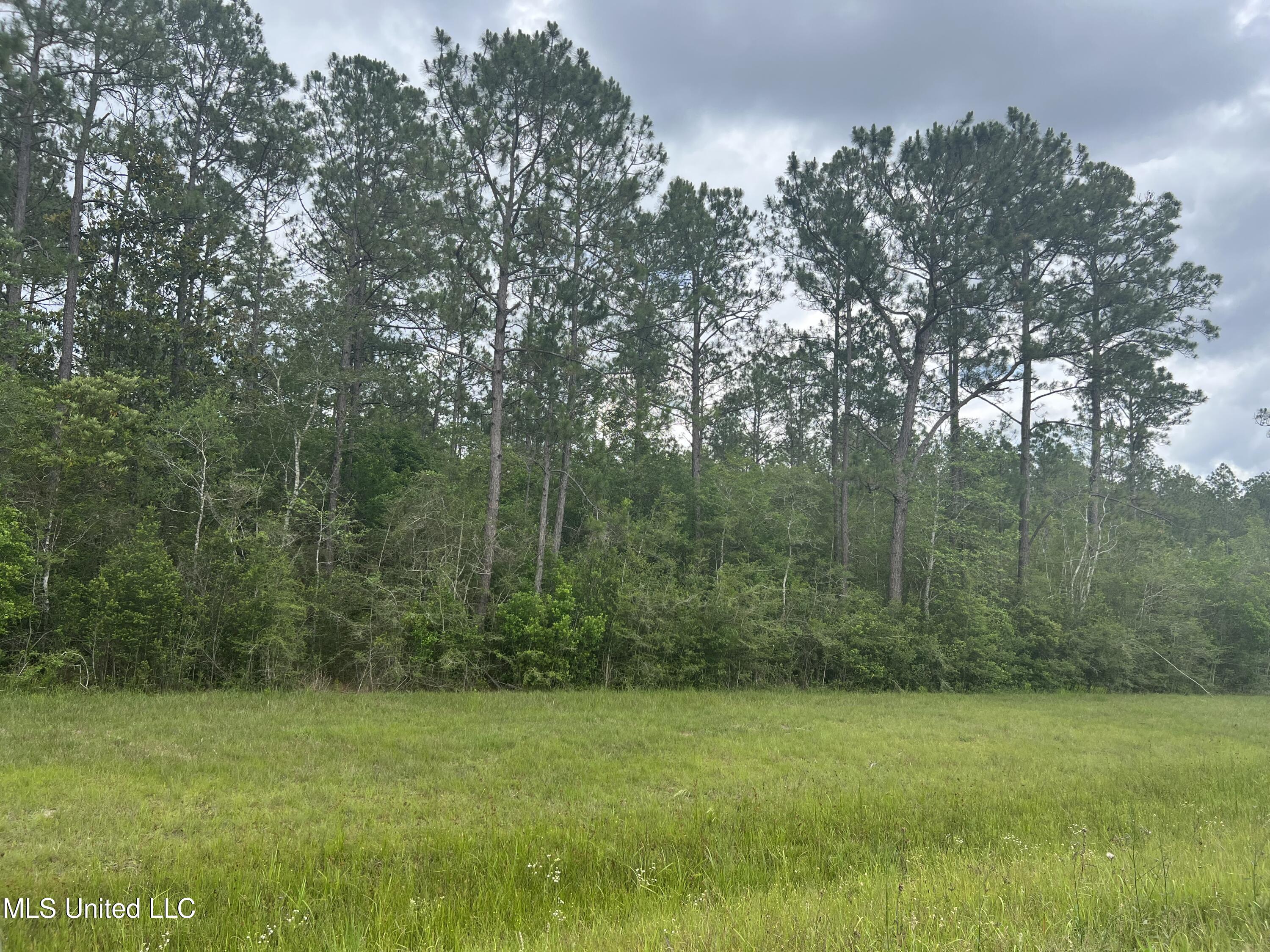 Highway 63, Moss Point, Mississippi image 4