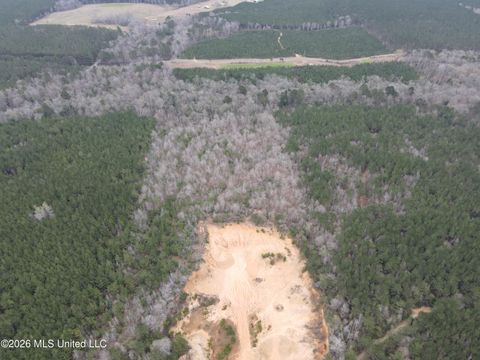 Vacant Land For Sale - 2573 SE Pricedale Drive<br/> Lincoln County, Bogue Chitto, MS 39629