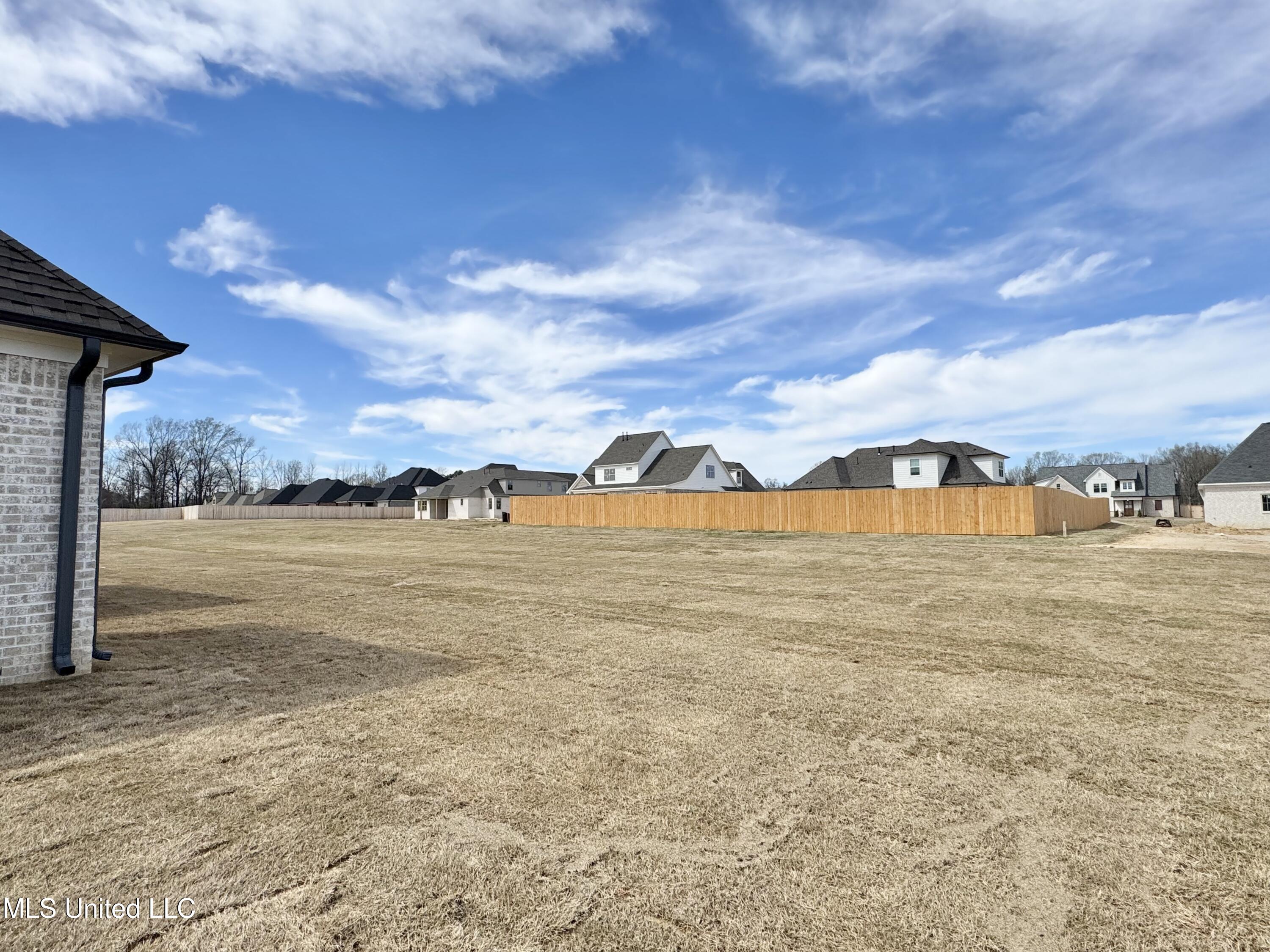 4230 Adriane Cove, Nesbit, Mississippi image 33