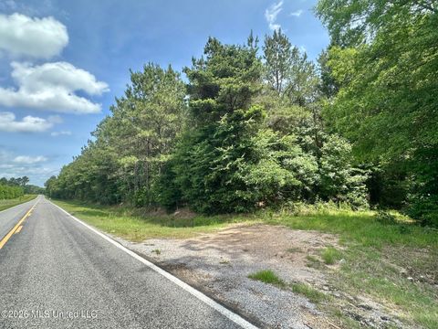 Vacant Land For Sale - 3 Highway 483<br/> Scott County, Morton, MS 39117