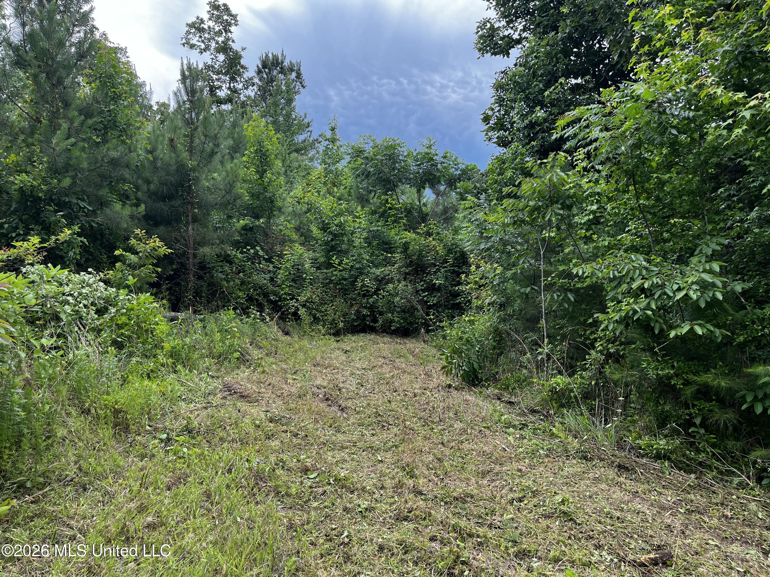 Cline Road