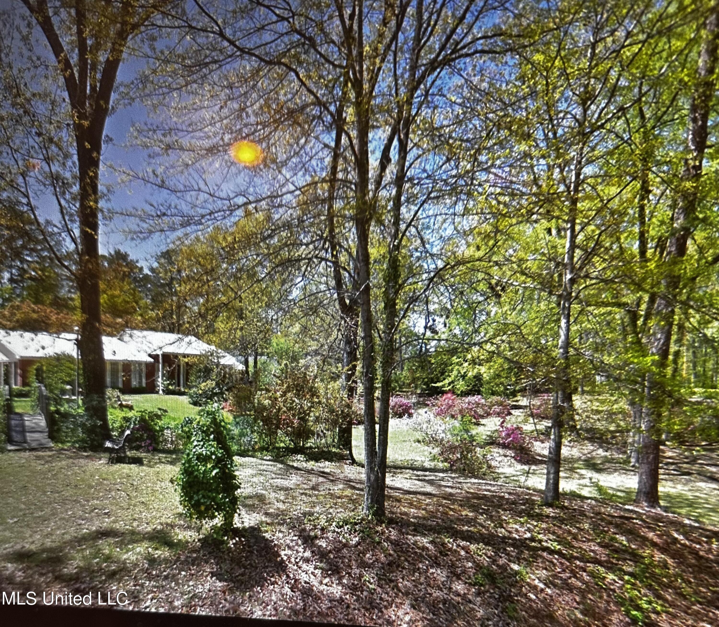 231 Zelma Lane, Florence, Mississippi image 2