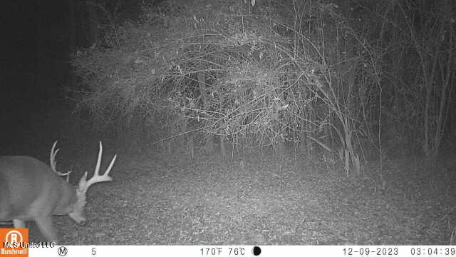 5302 Bend Road