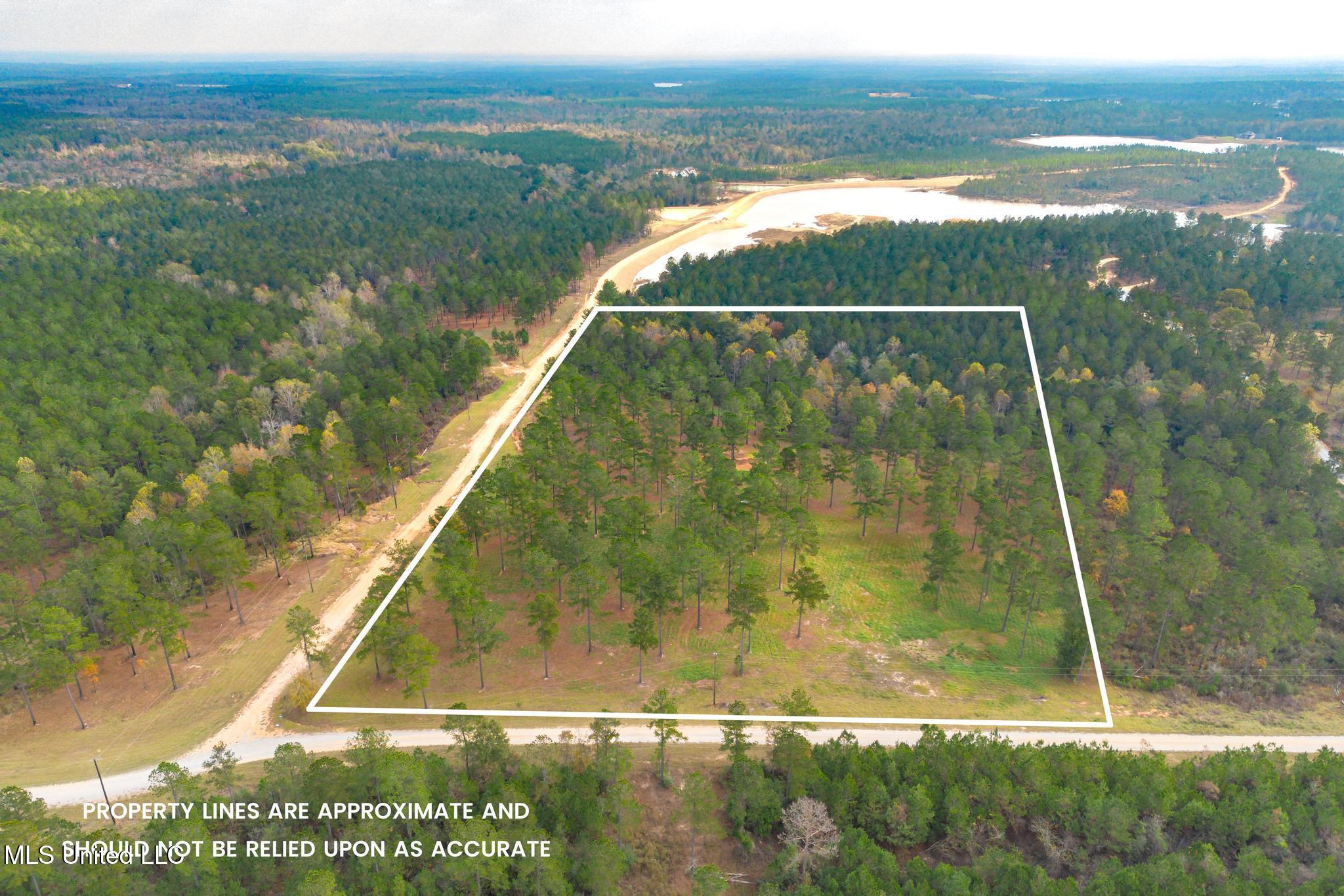 Frontier Bend, Hattiesburg, Mississippi image 5
