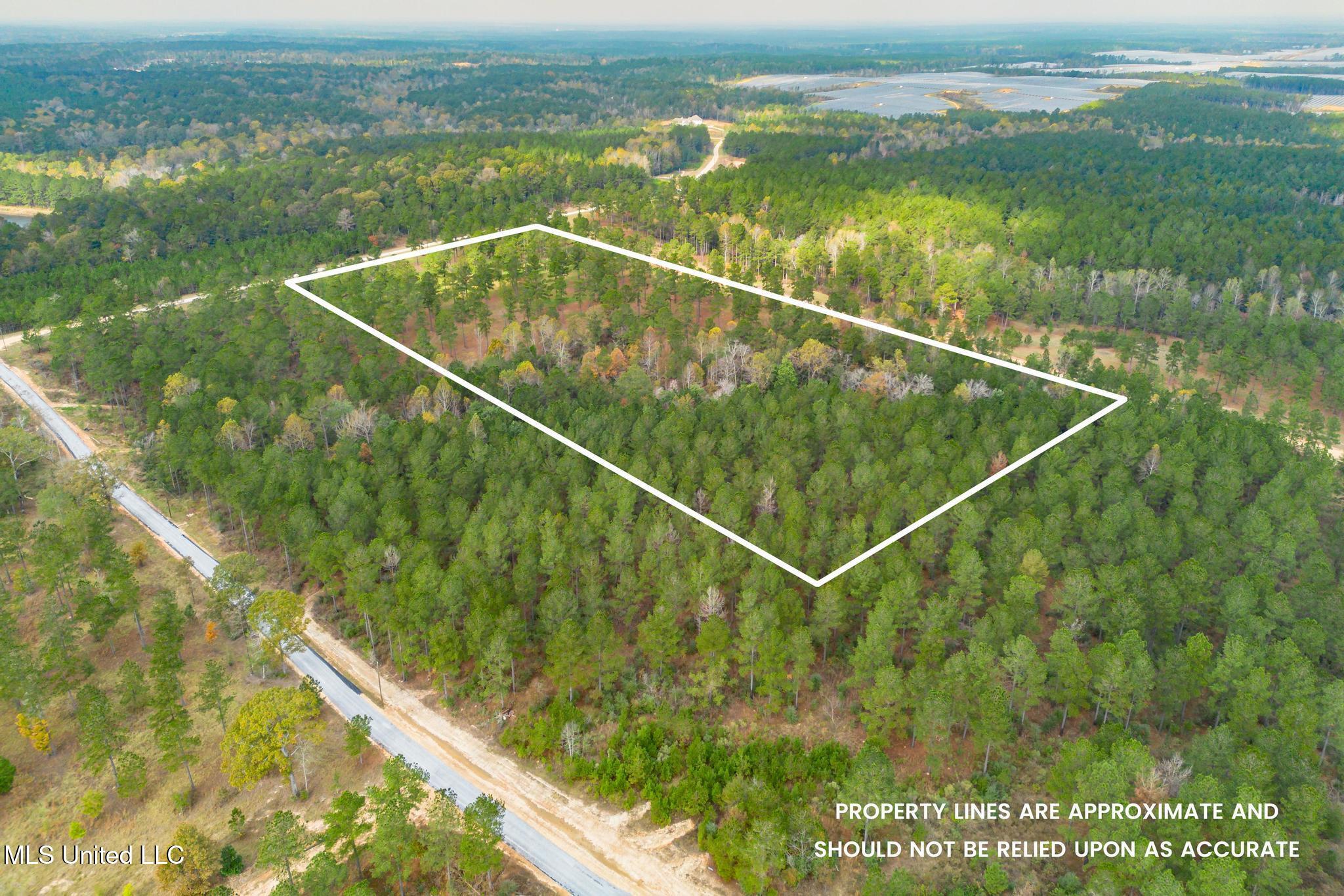 Frontier Bend, Hattiesburg, Mississippi image 1