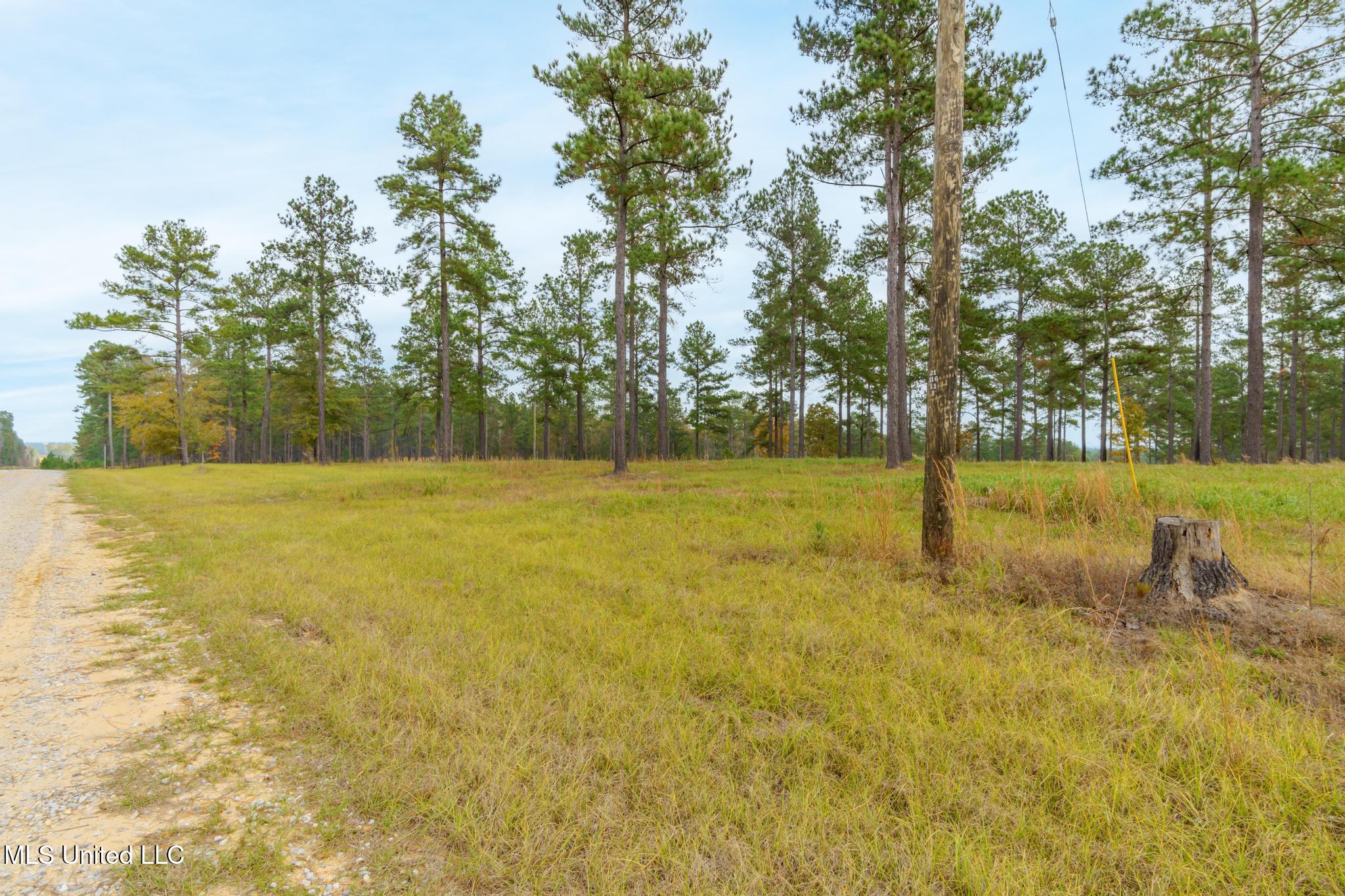 Frontier Bend, Hattiesburg, Mississippi image 11