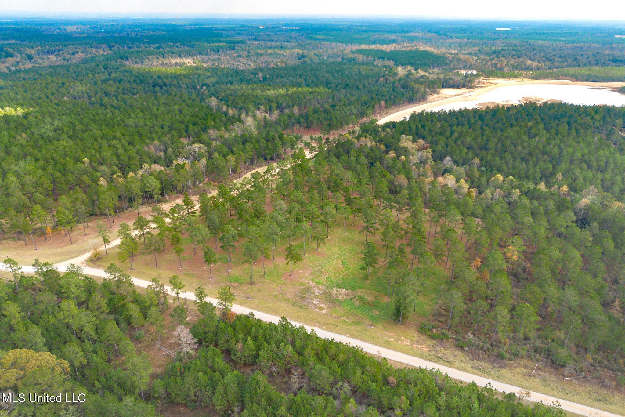 Frontier Bend, Hattiesburg, Mississippi image 8