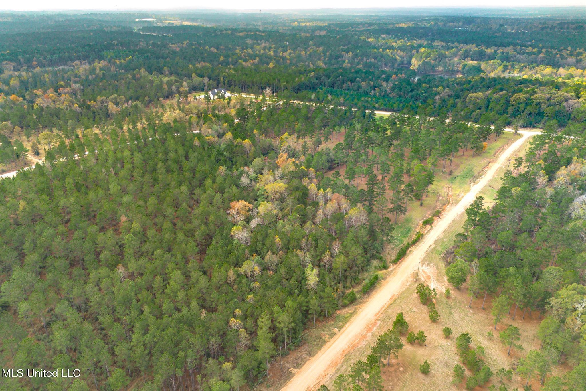Frontier Bend, Hattiesburg, Mississippi image 10