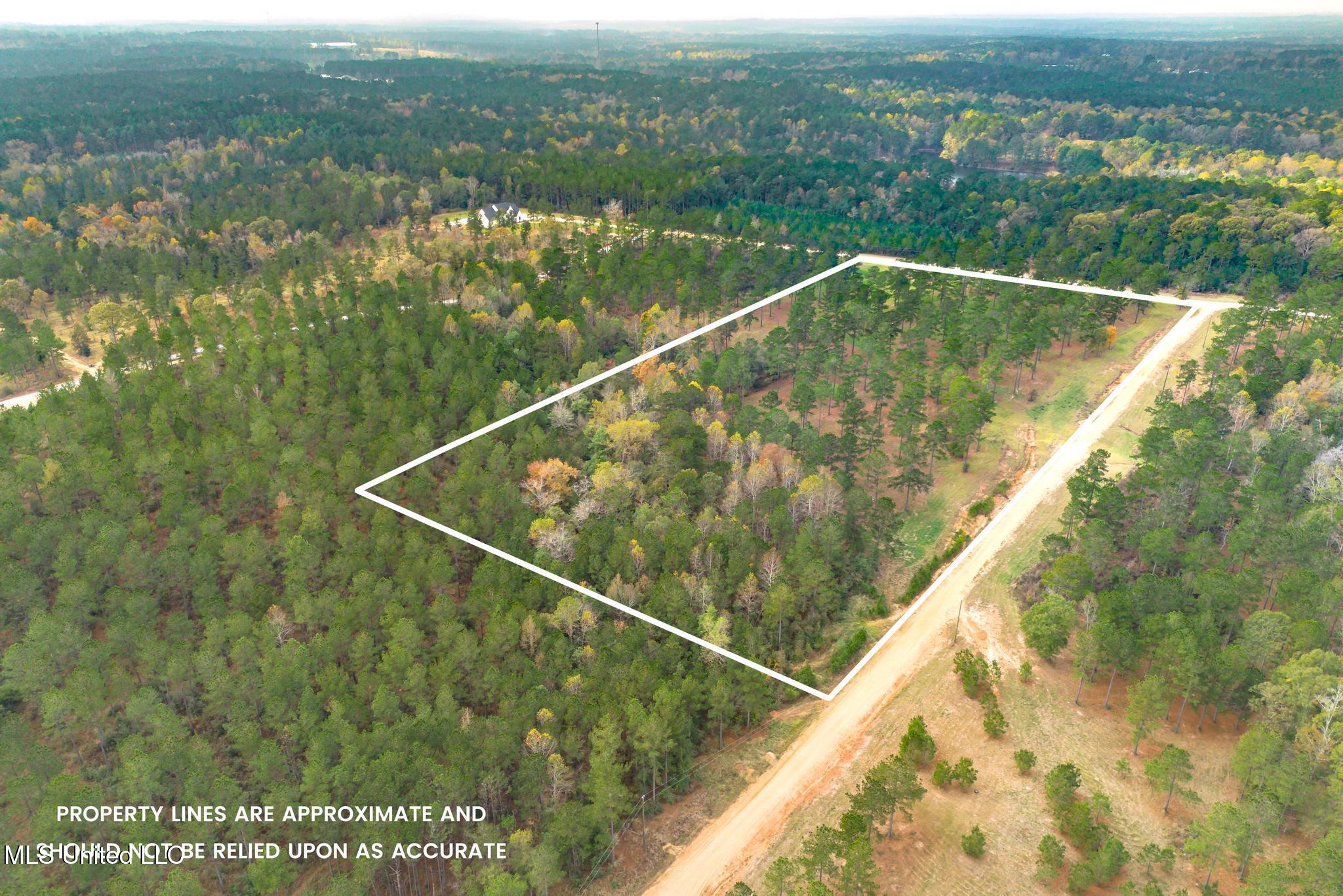 Frontier Bend, Hattiesburg, Mississippi image 9
