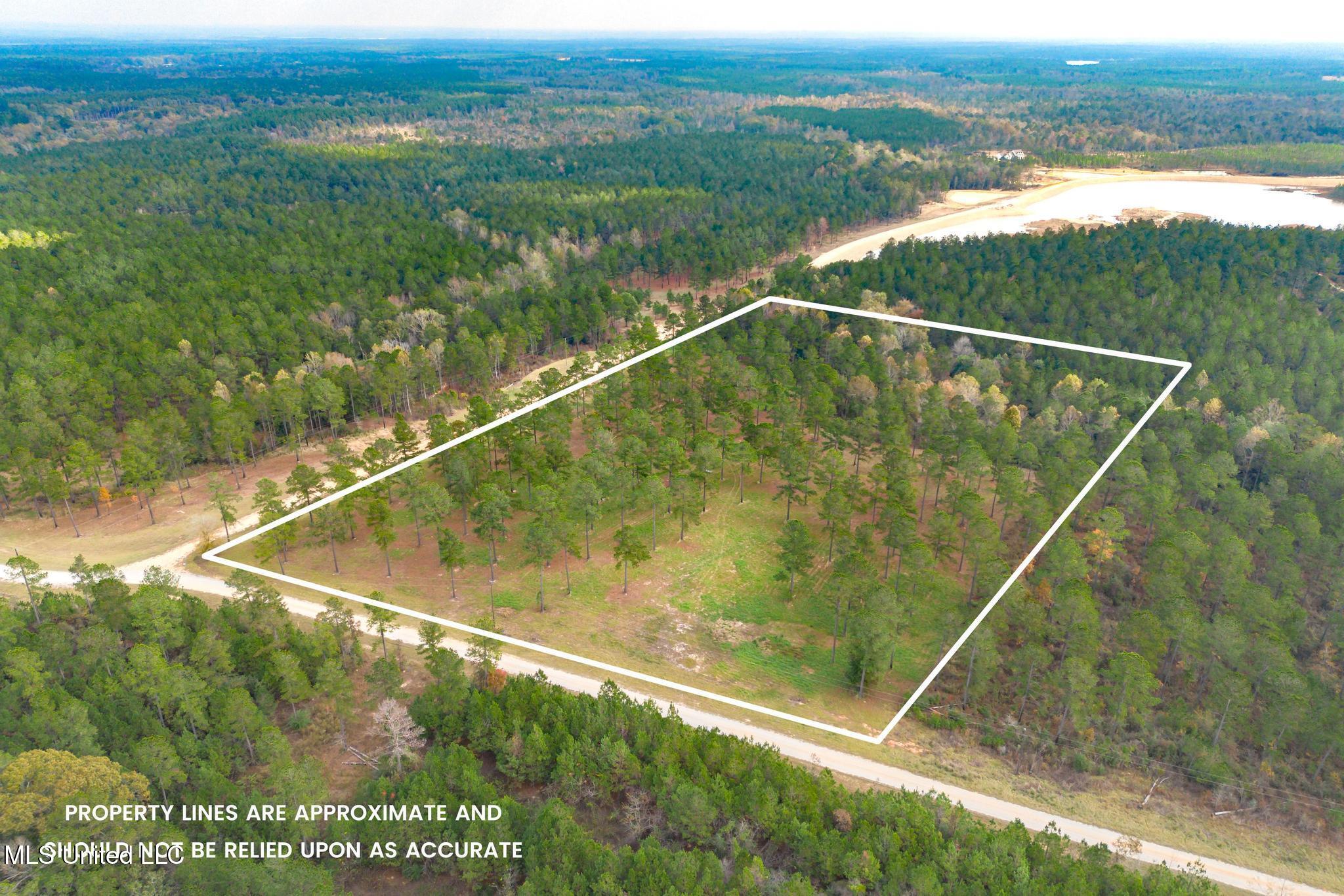 Frontier Bend, Hattiesburg, Mississippi image 7