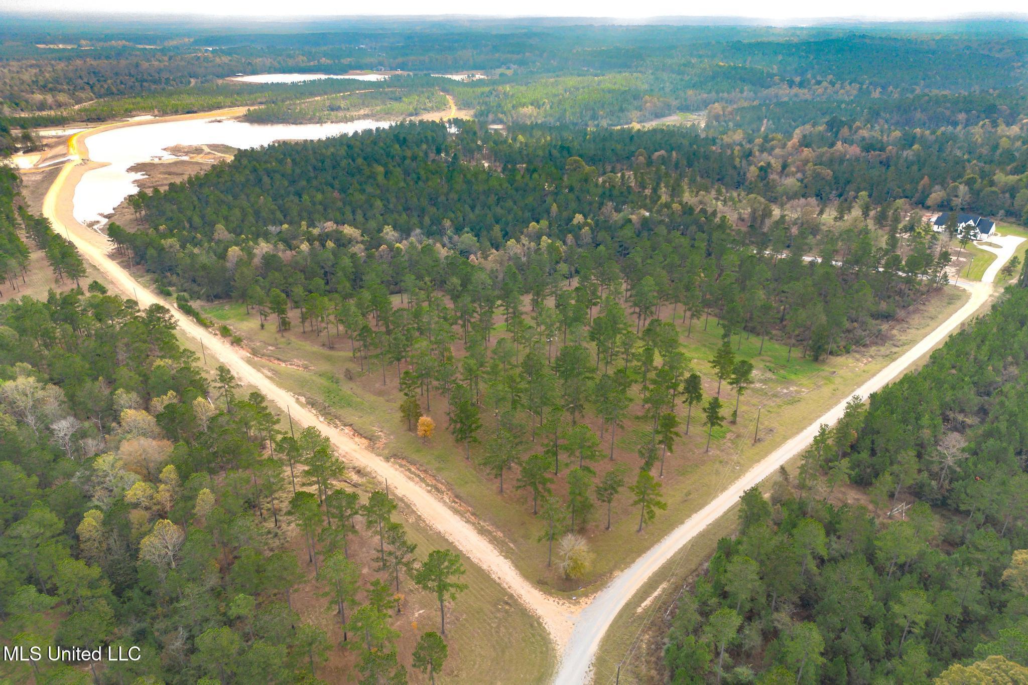 Frontier Bend, Hattiesburg, Mississippi image 4