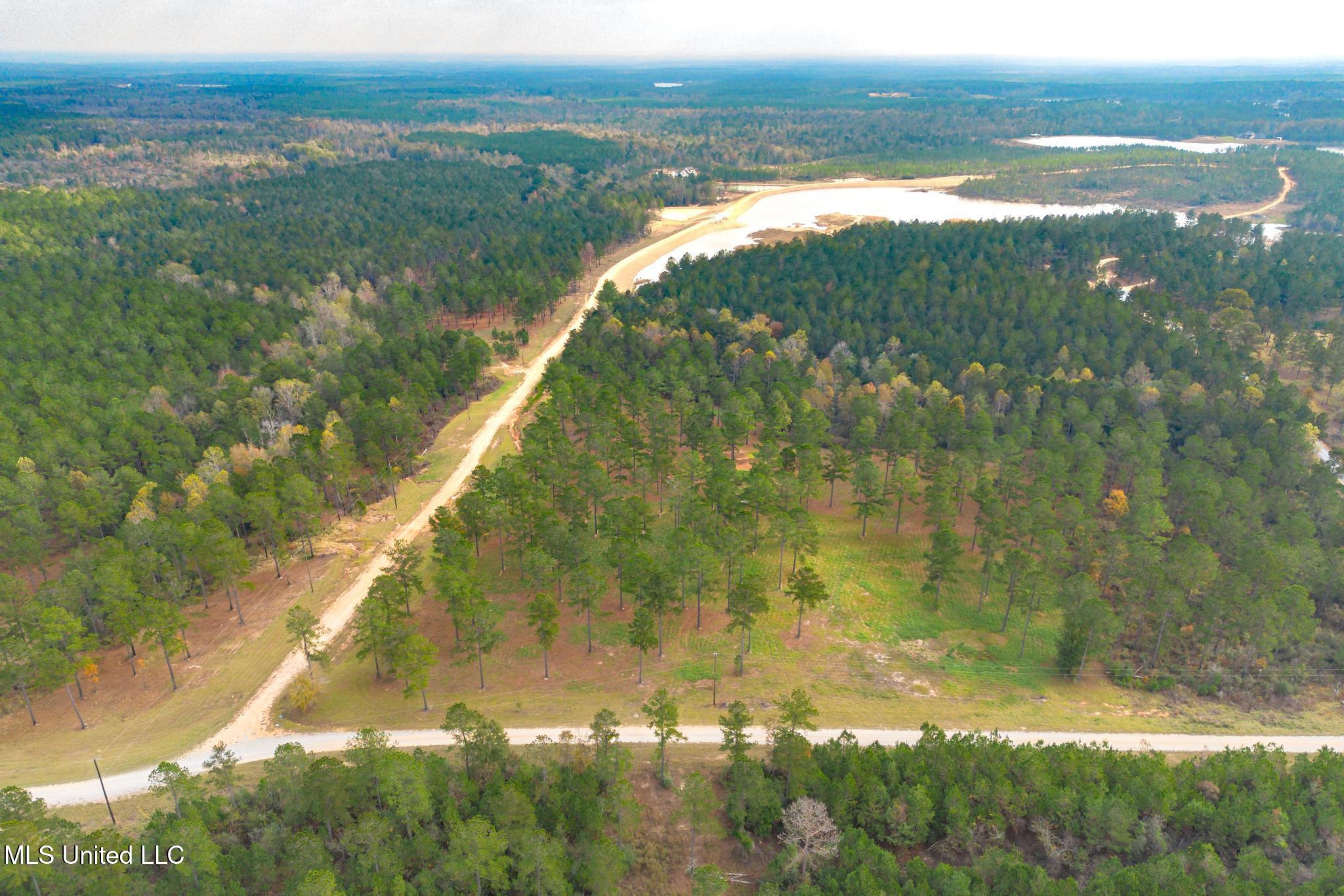 Frontier Bend, Hattiesburg, Mississippi image 6