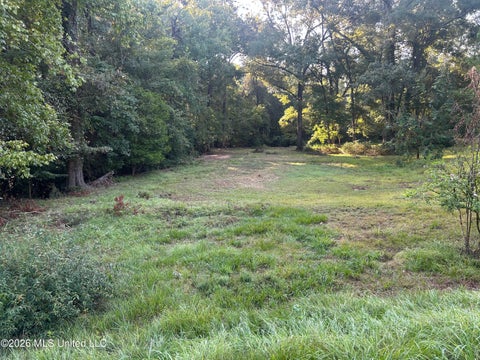 Vacant Land For Sale - 77A Magnolia Acres Road<br/> Natchez, MS 39120