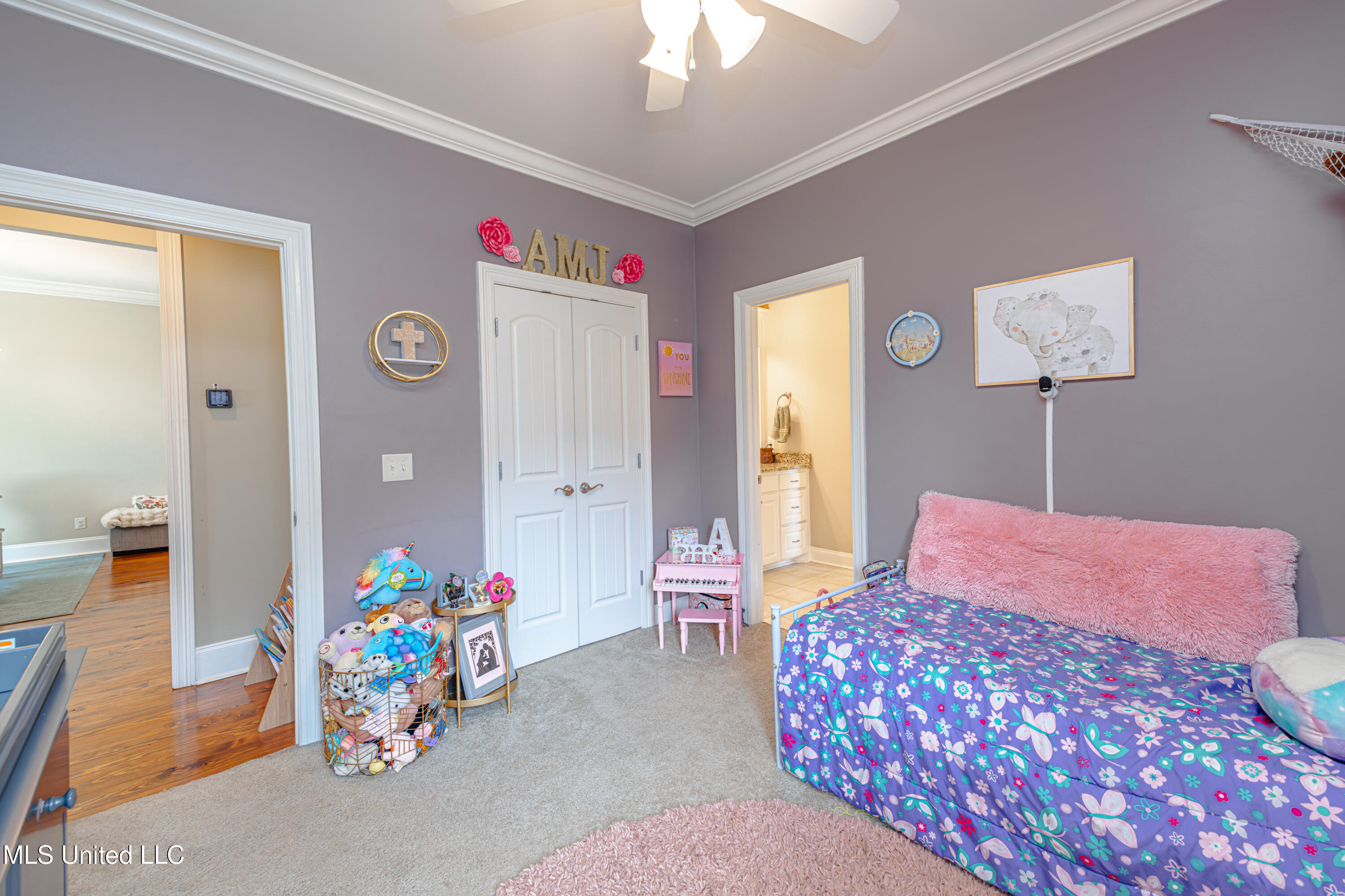 102 Camden Pte, Madison, Mississippi image 36
