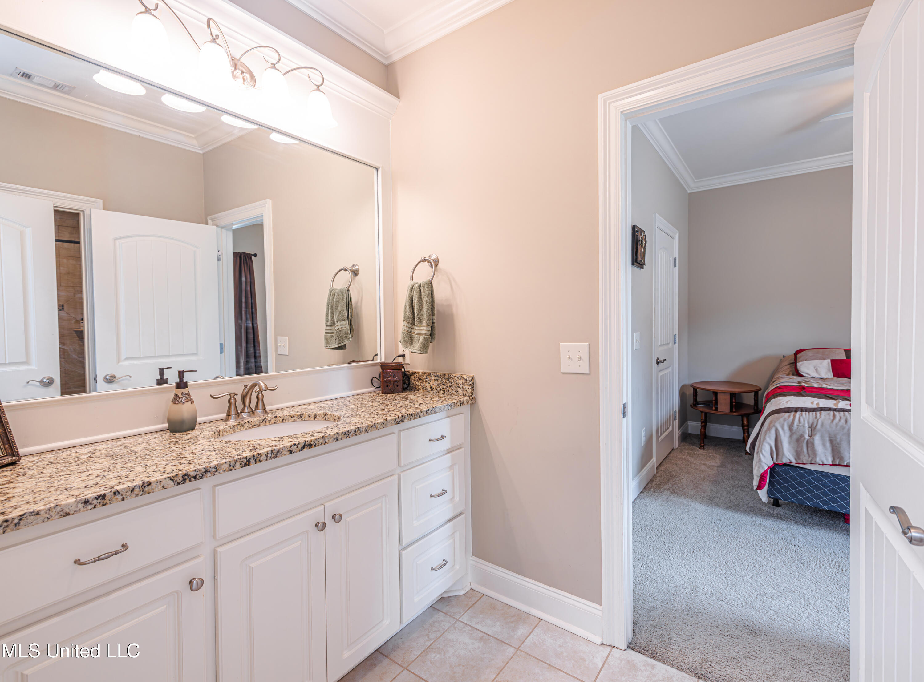 102 Camden Pte, Madison, Mississippi image 33