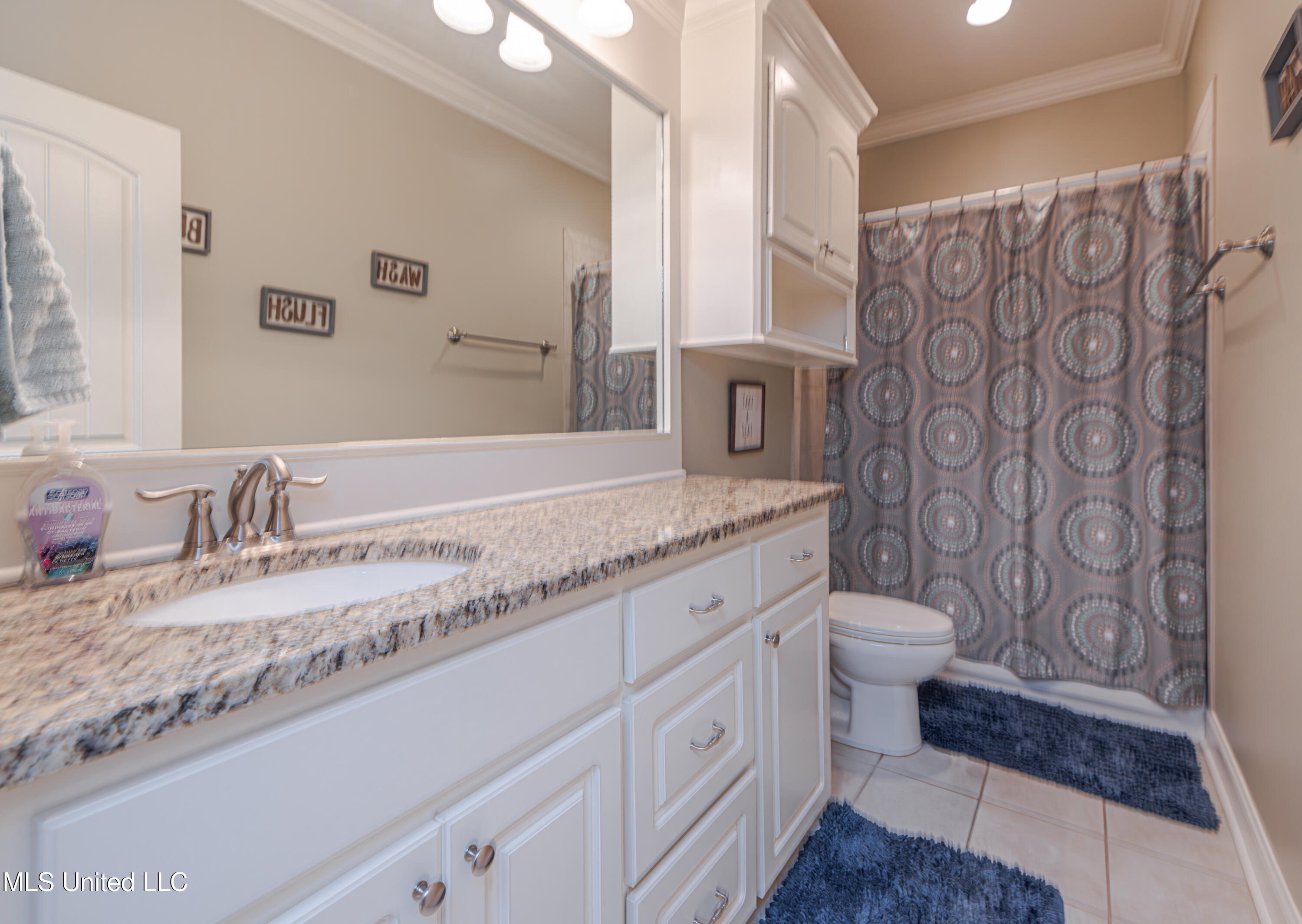 102 Camden Pte, Madison, Mississippi image 37