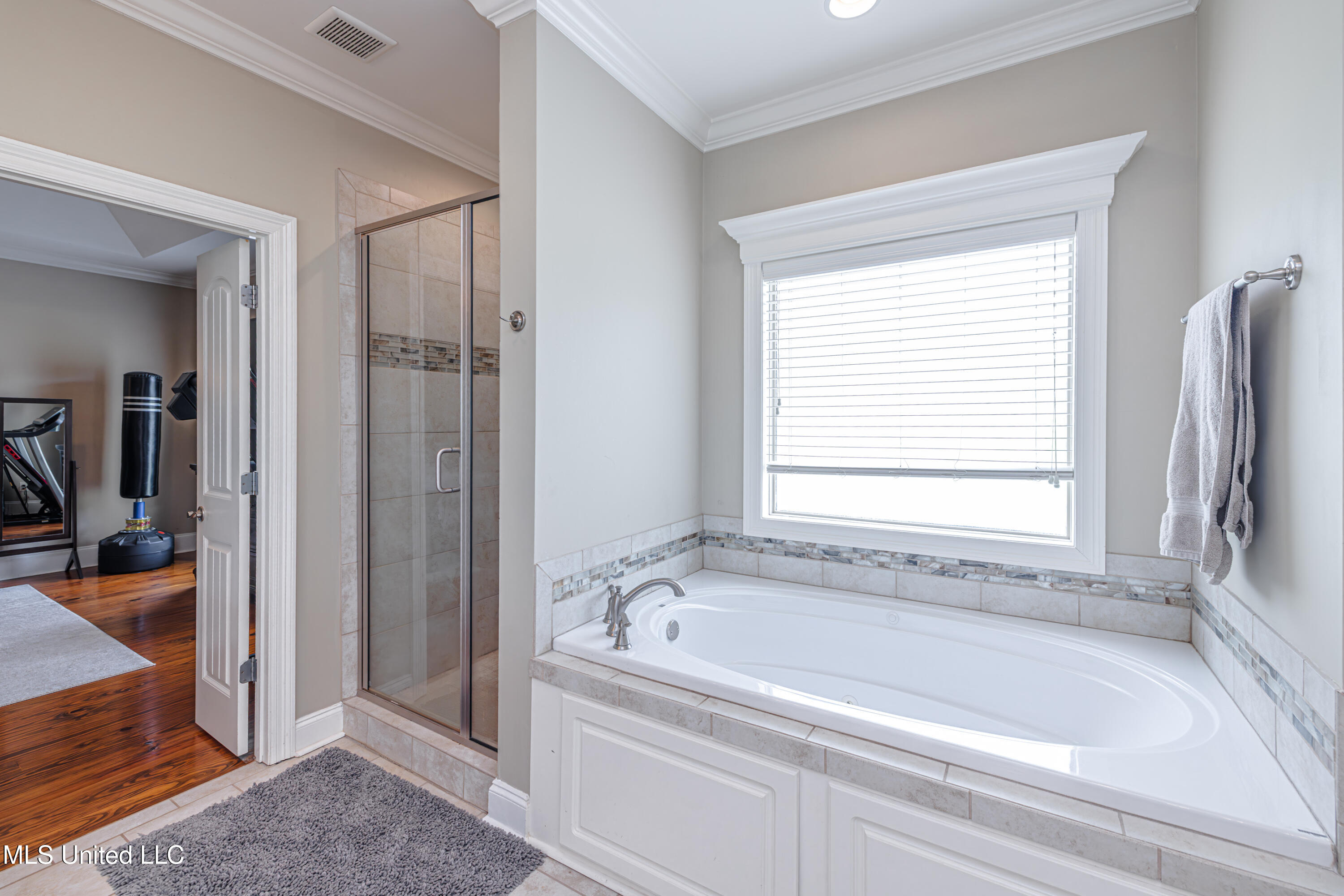 102 Camden Pte, Madison, Mississippi image 27