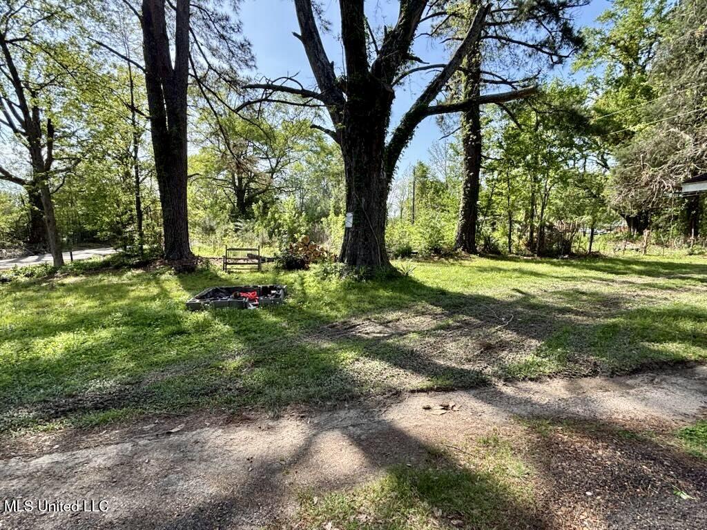 599 Wilson Holmes Road, Bentonia, Mississippi image 3