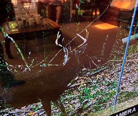 Vacant Land For Sale - 50 Oakdale Church Road<br/> Covington County, Seminary, MS 39479